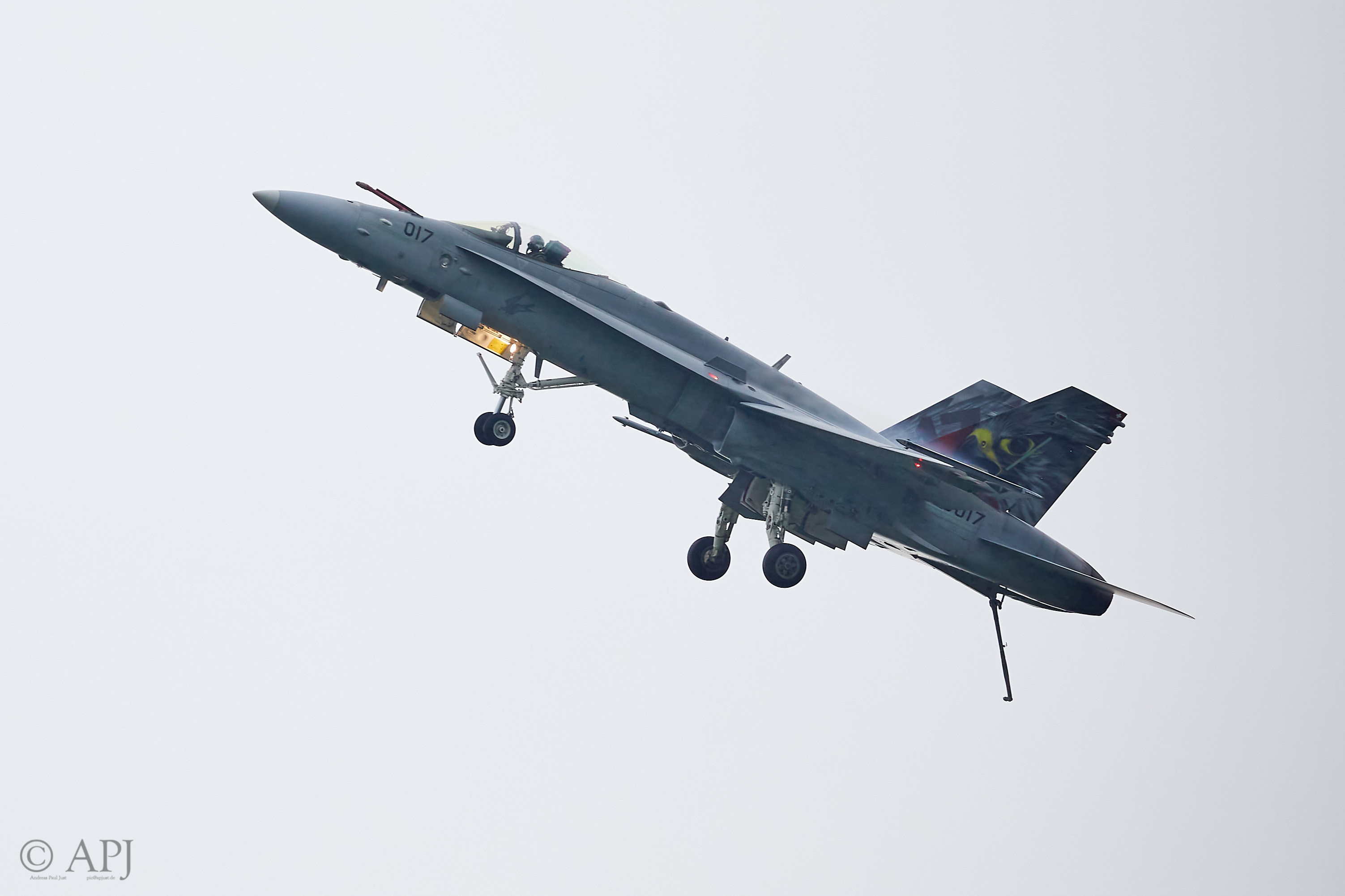 1624 APJ 8096 Airpower 2019