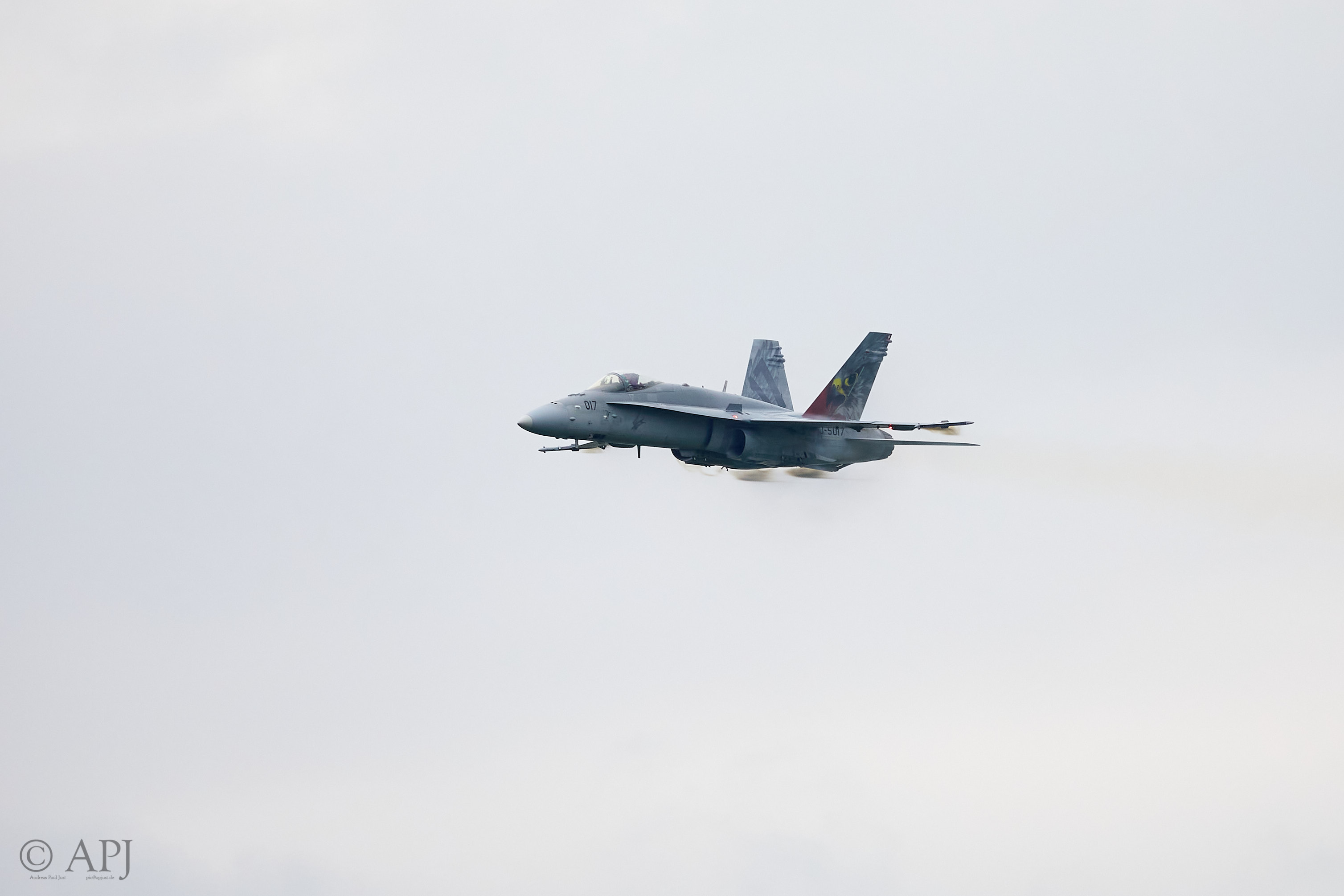 1803 APJ 8275 Airpower 2019