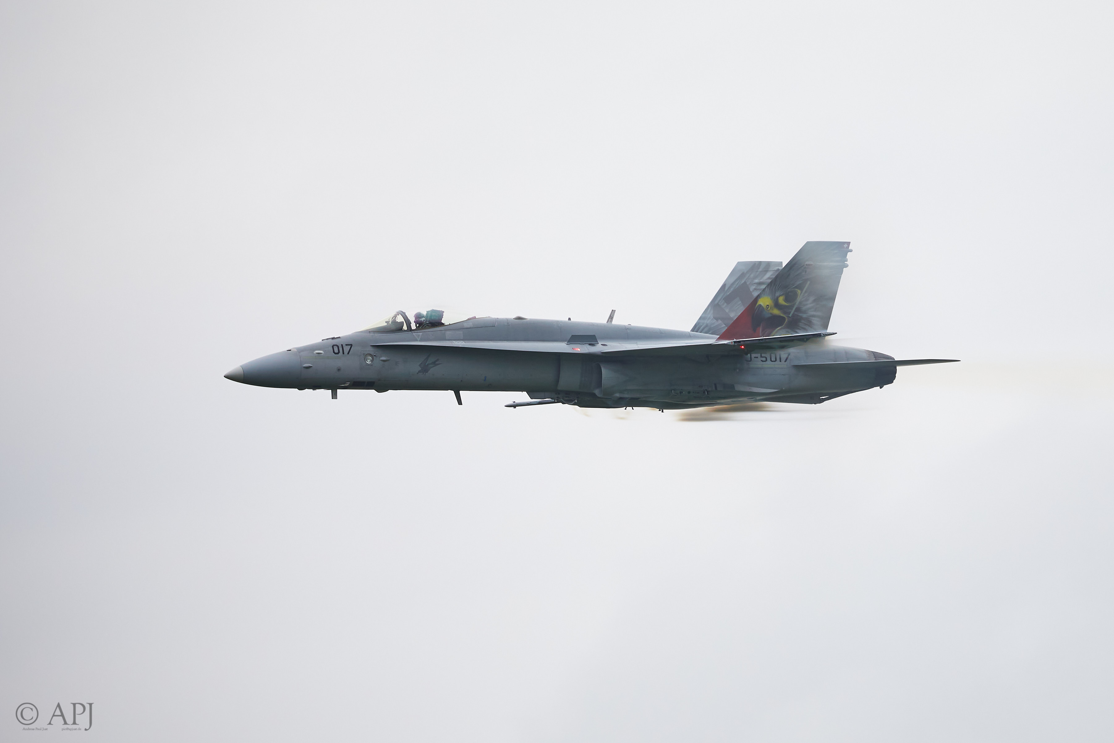 1807 APJ 8279 Airpower 2019