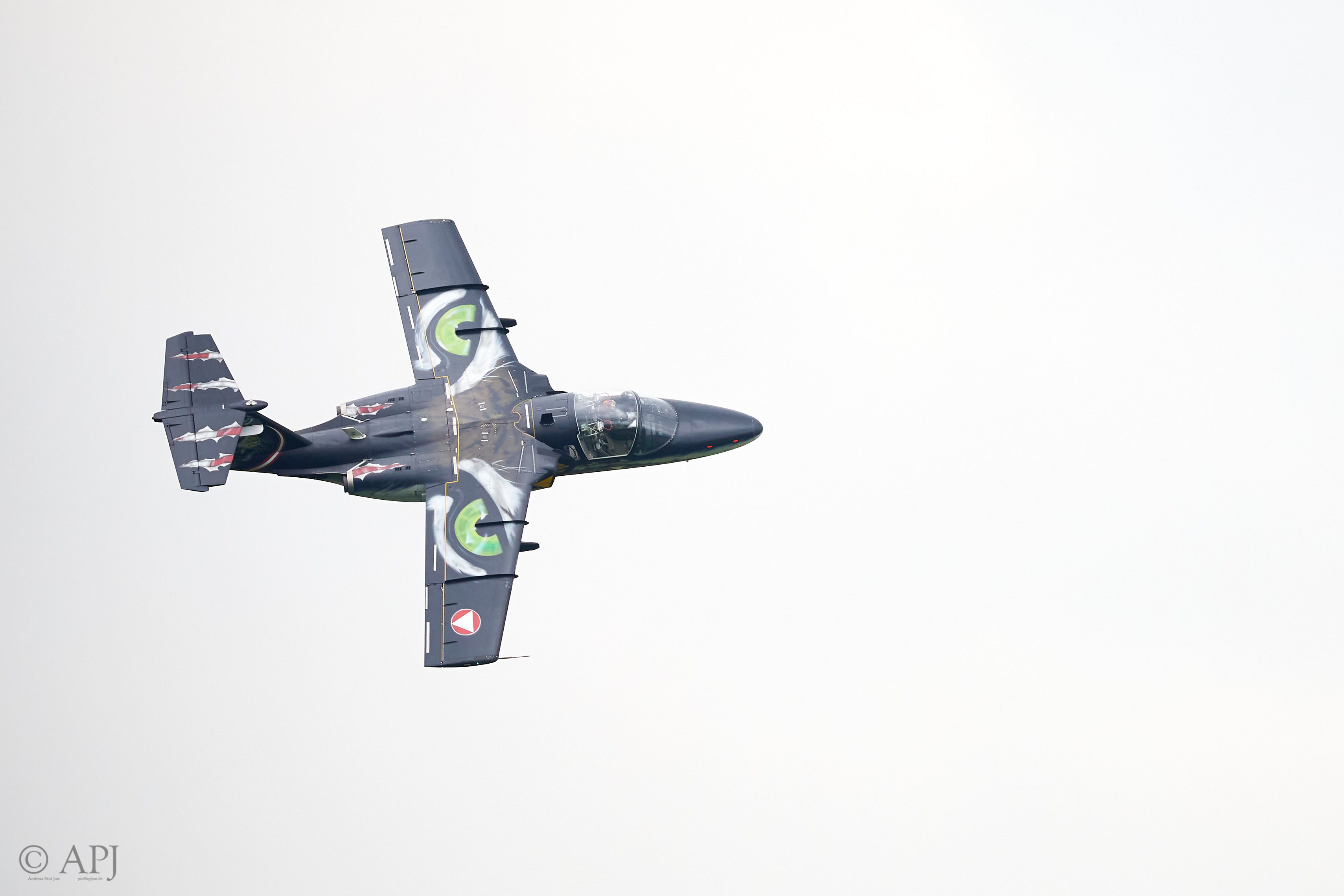 2244 APJ 8717 Airpower 2019