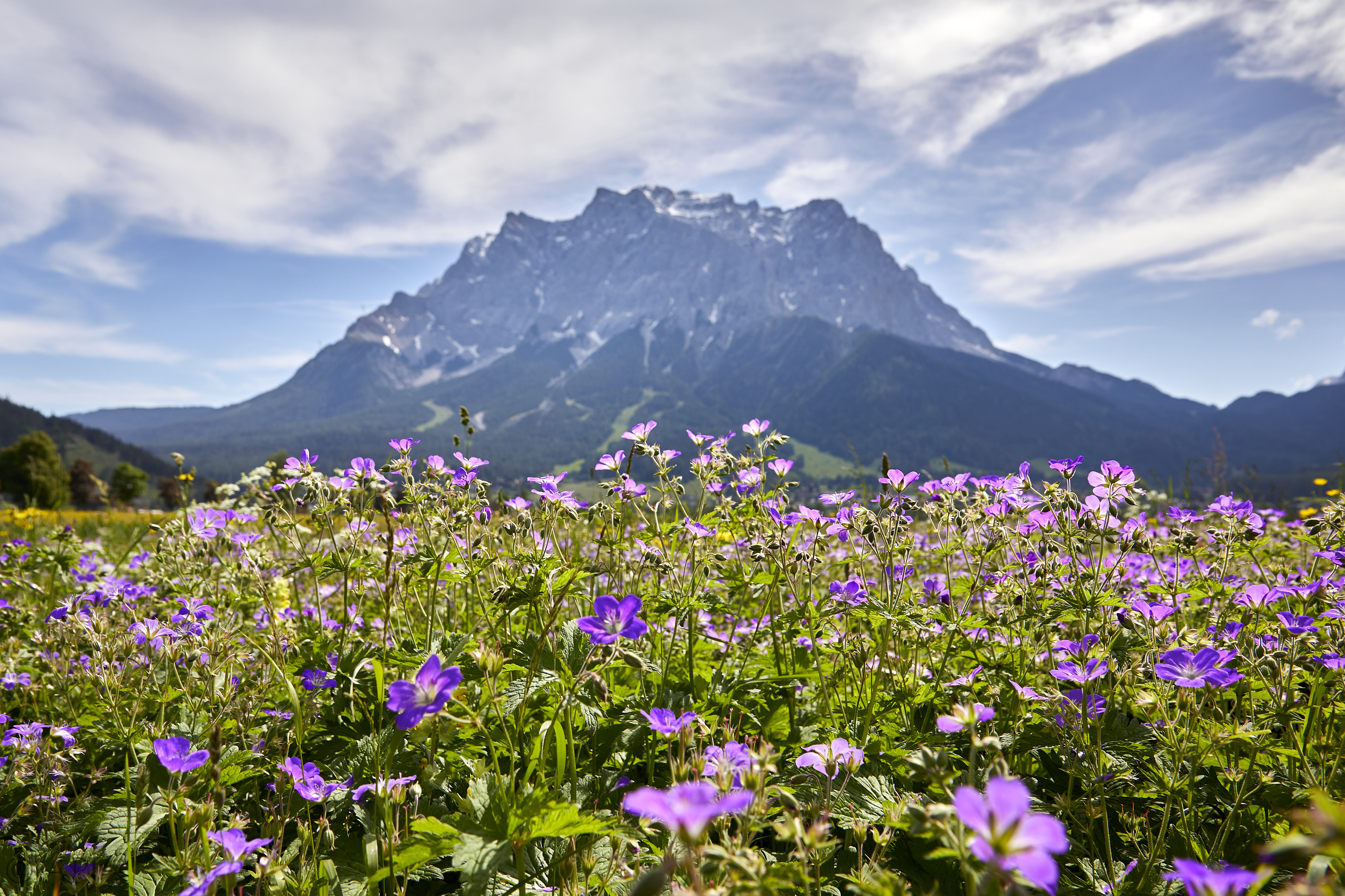 11 APJ Eibsee Seebensee APJ 0679