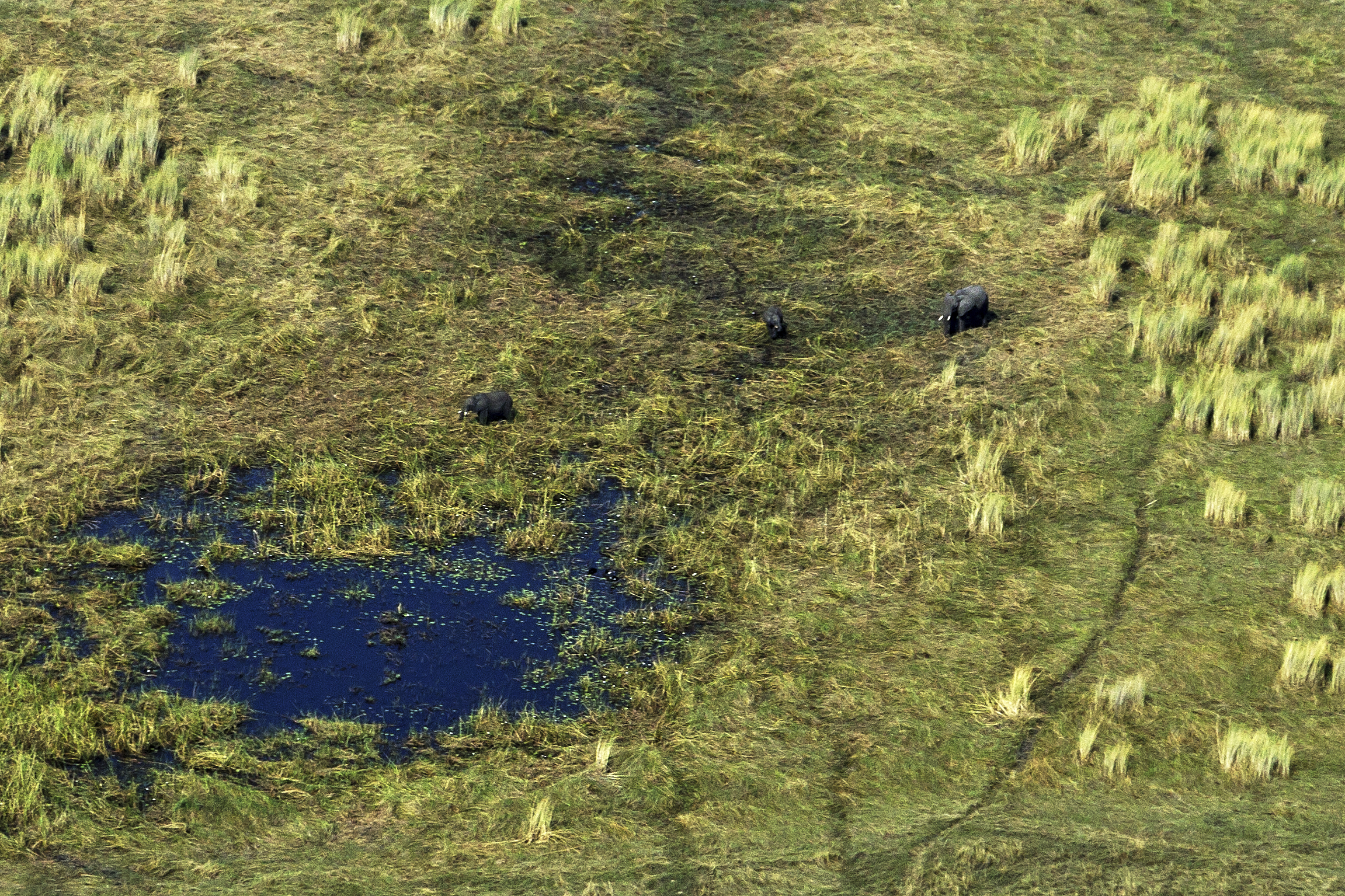 138 APJ IMG 8412 mod