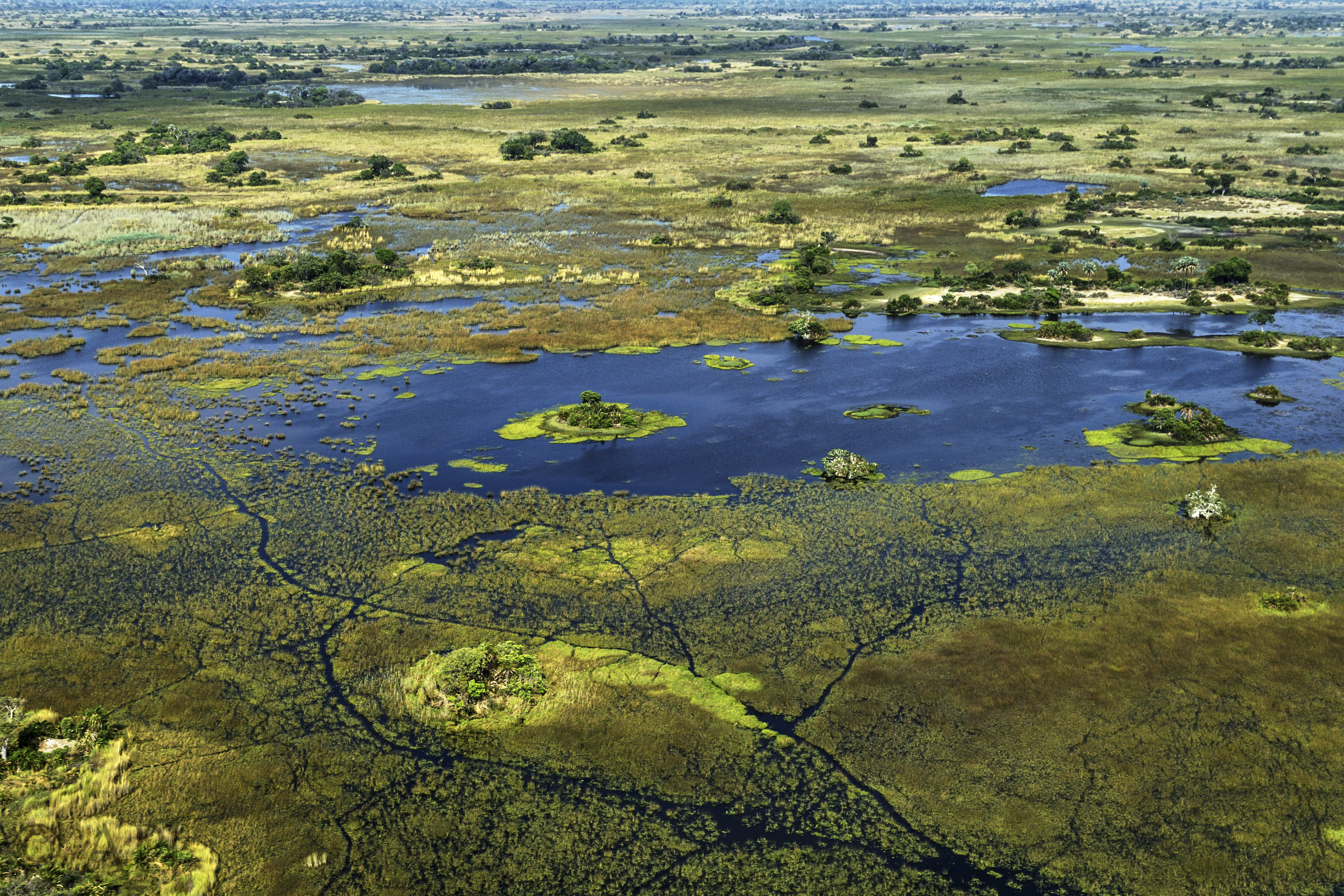 141 APJ IMG 8432 mod