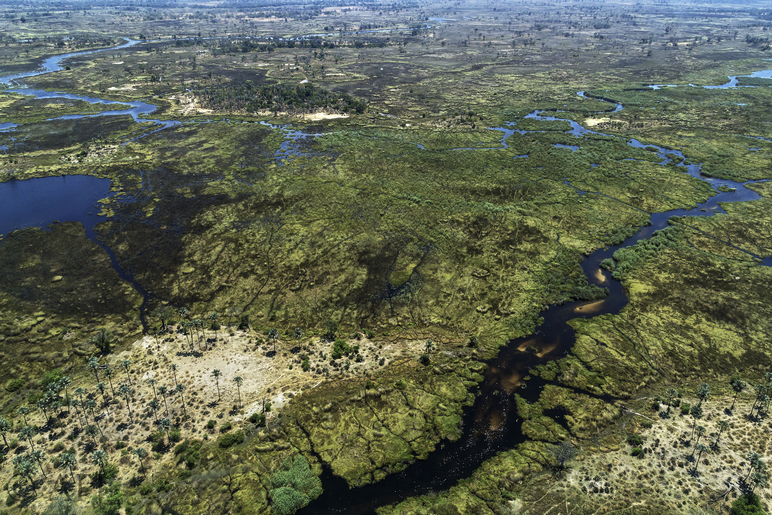 285 APJ IMG 0454 mod