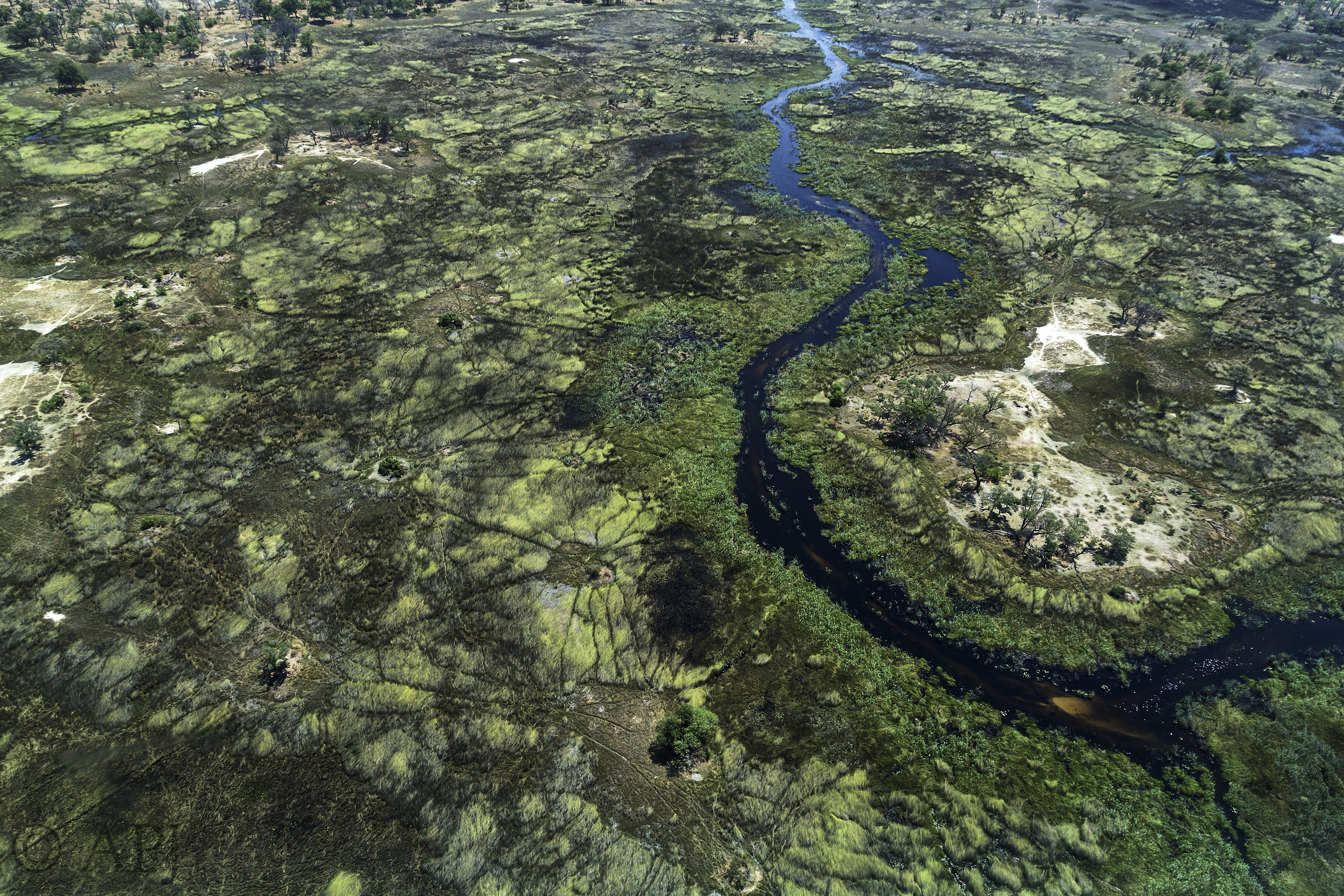 286 APJ IMG 0458 mod