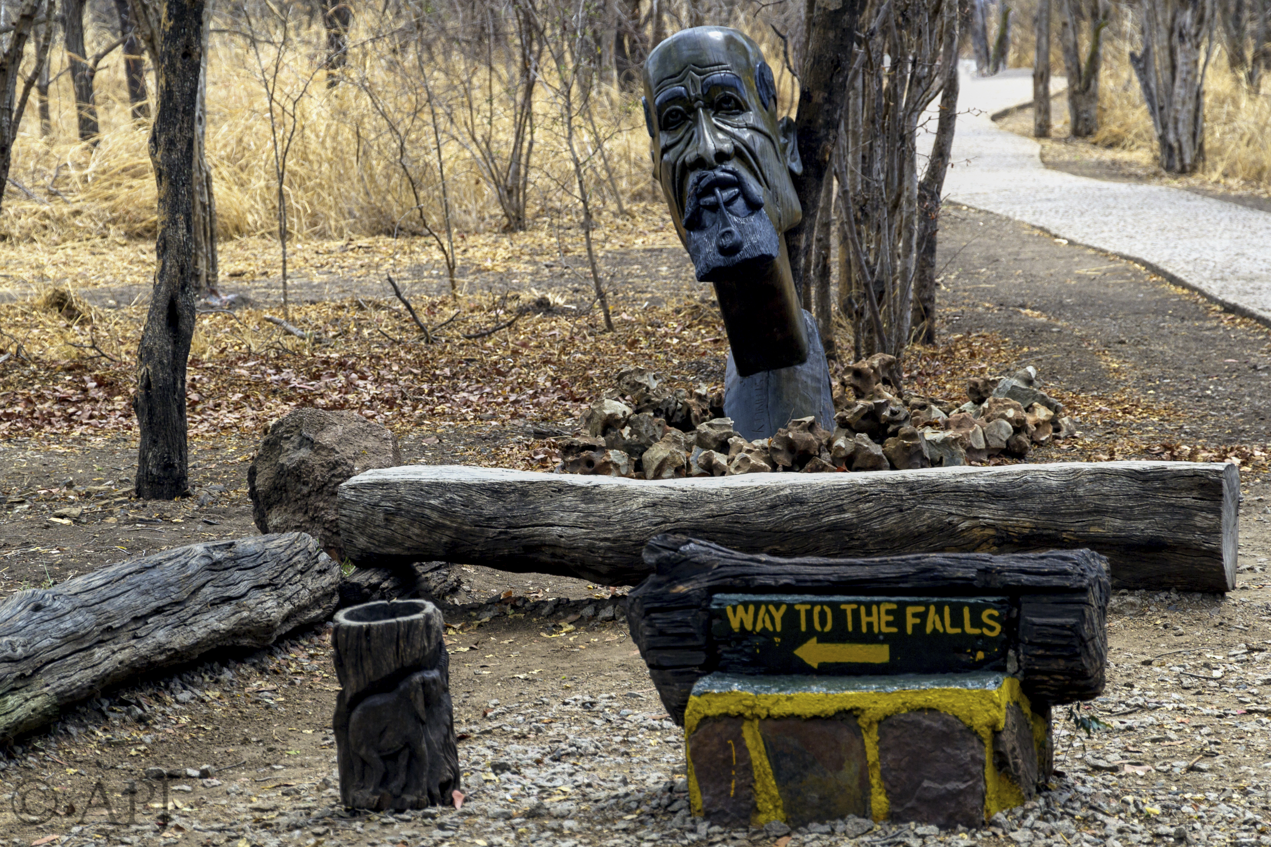 514 APJ IMG 3775 mod