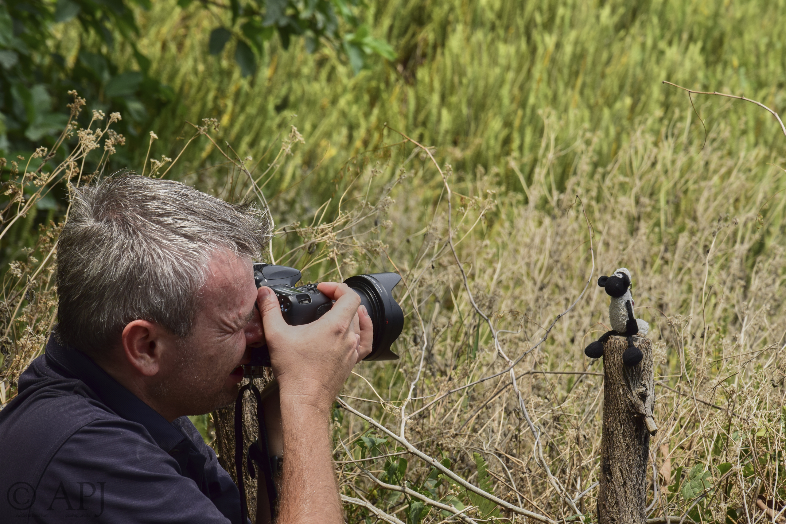 524 APJ Botswana 01366