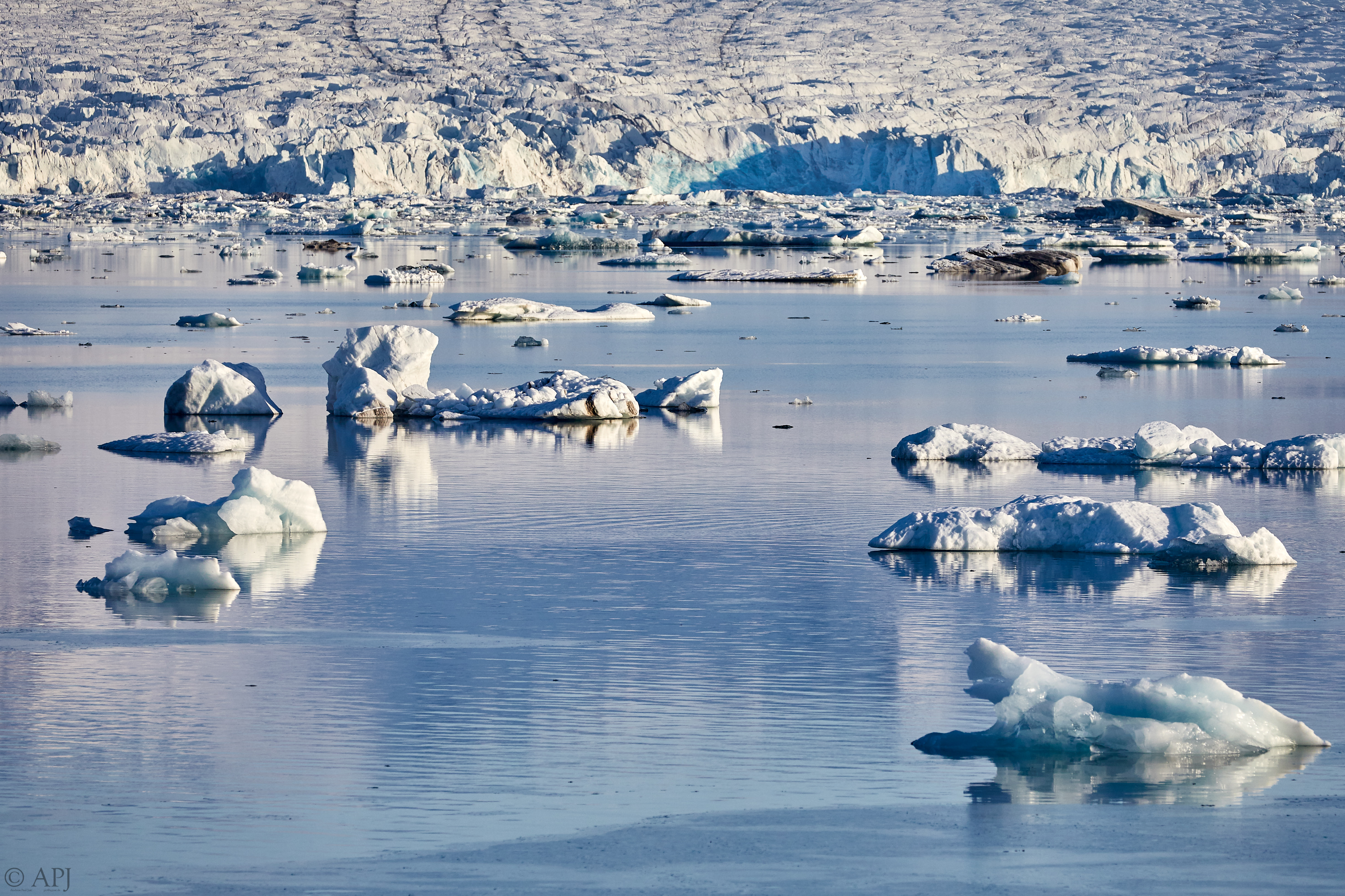 1450  073053000741 APJ 5788