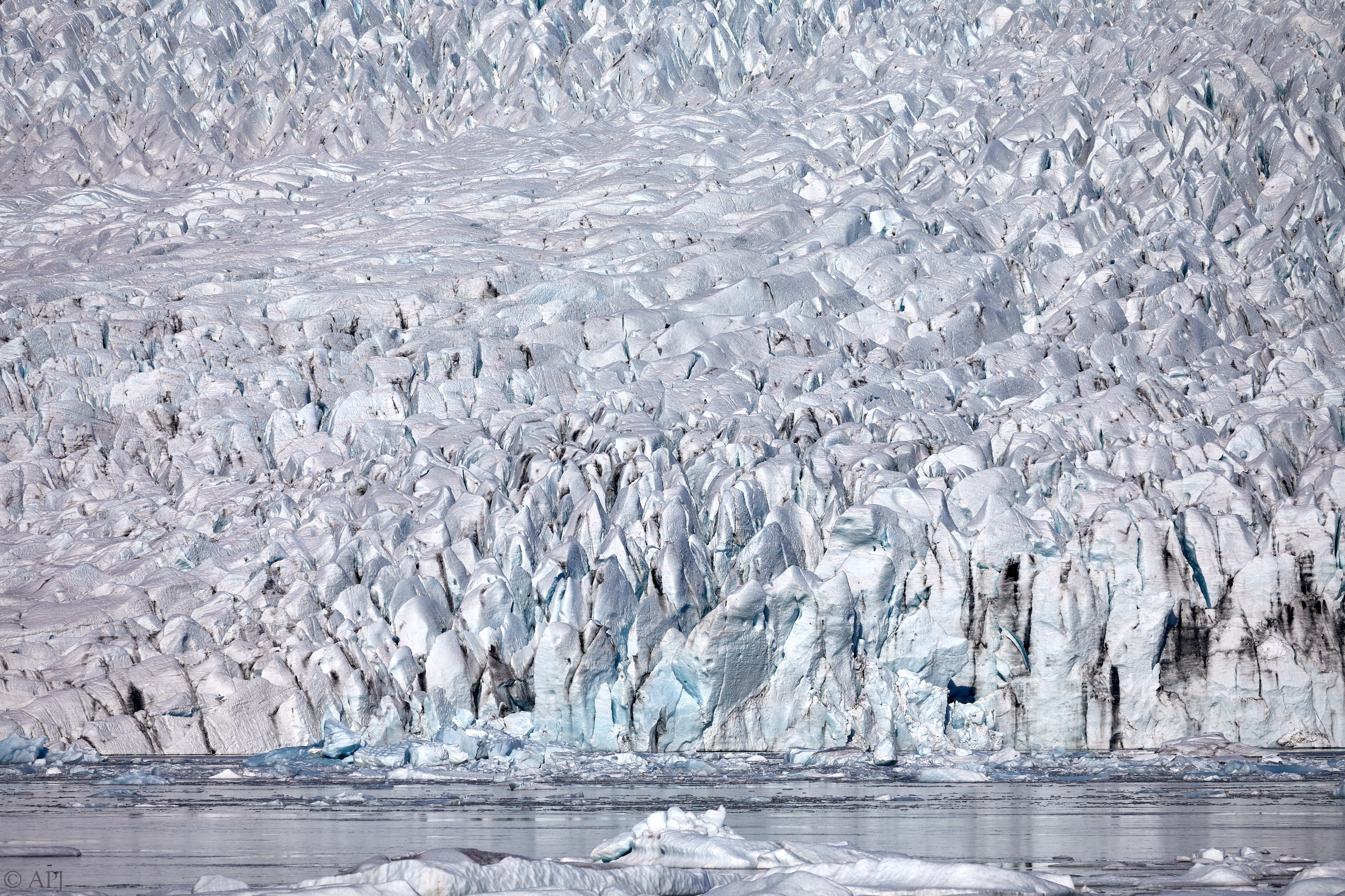 1566  073053000741 APJ 5904