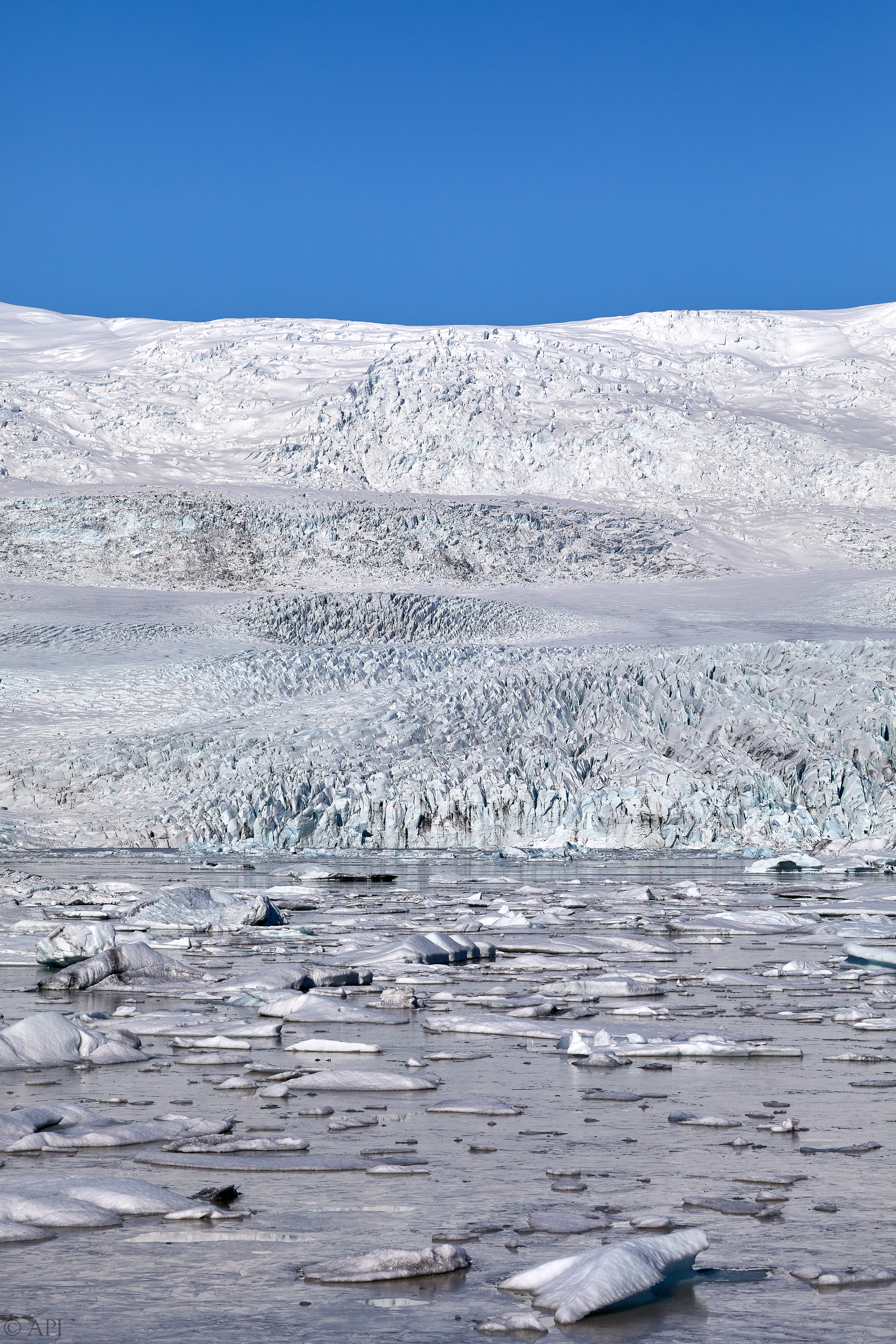 1620  073053000741 APJ 5958