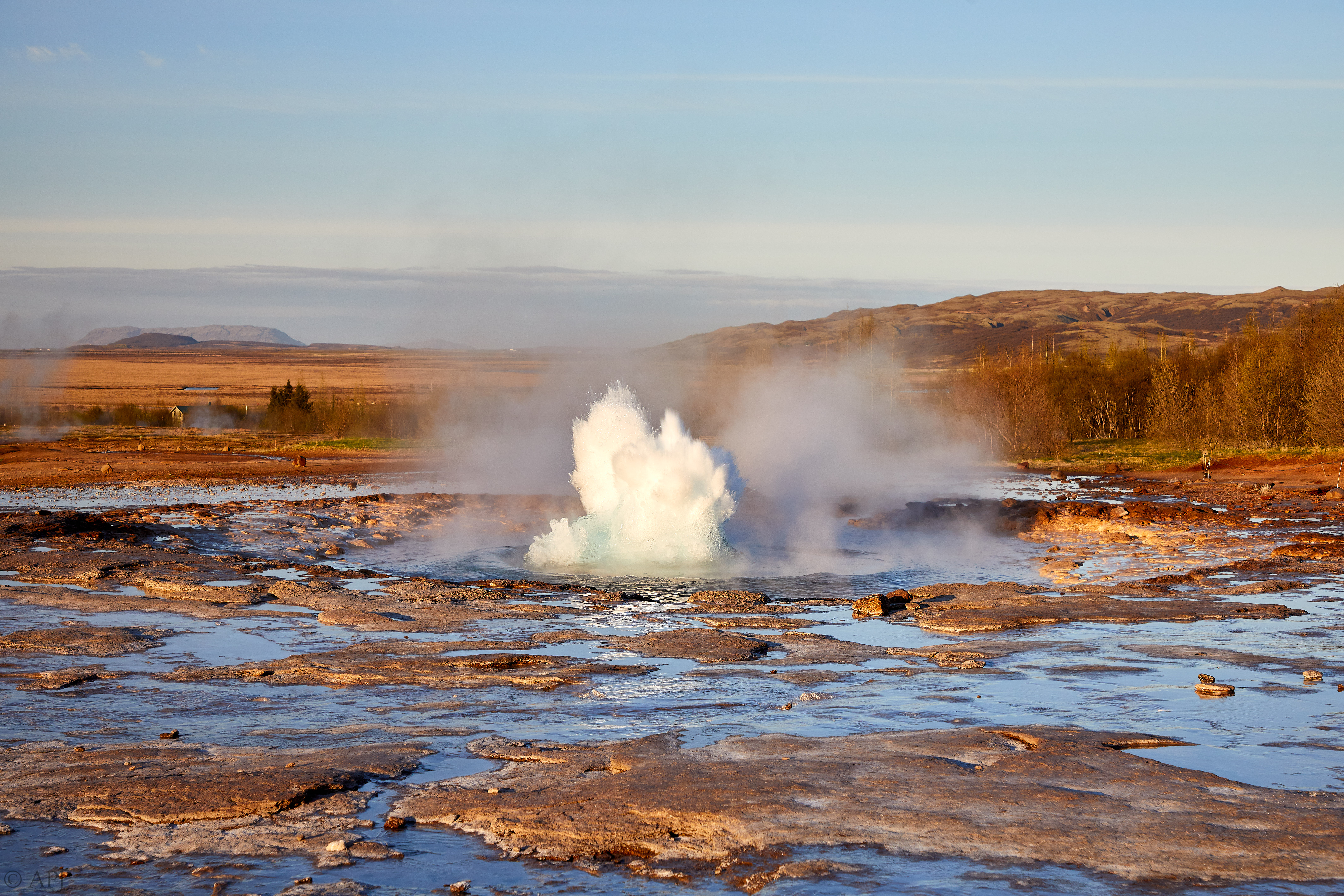 975  073053000741 APJ 5311