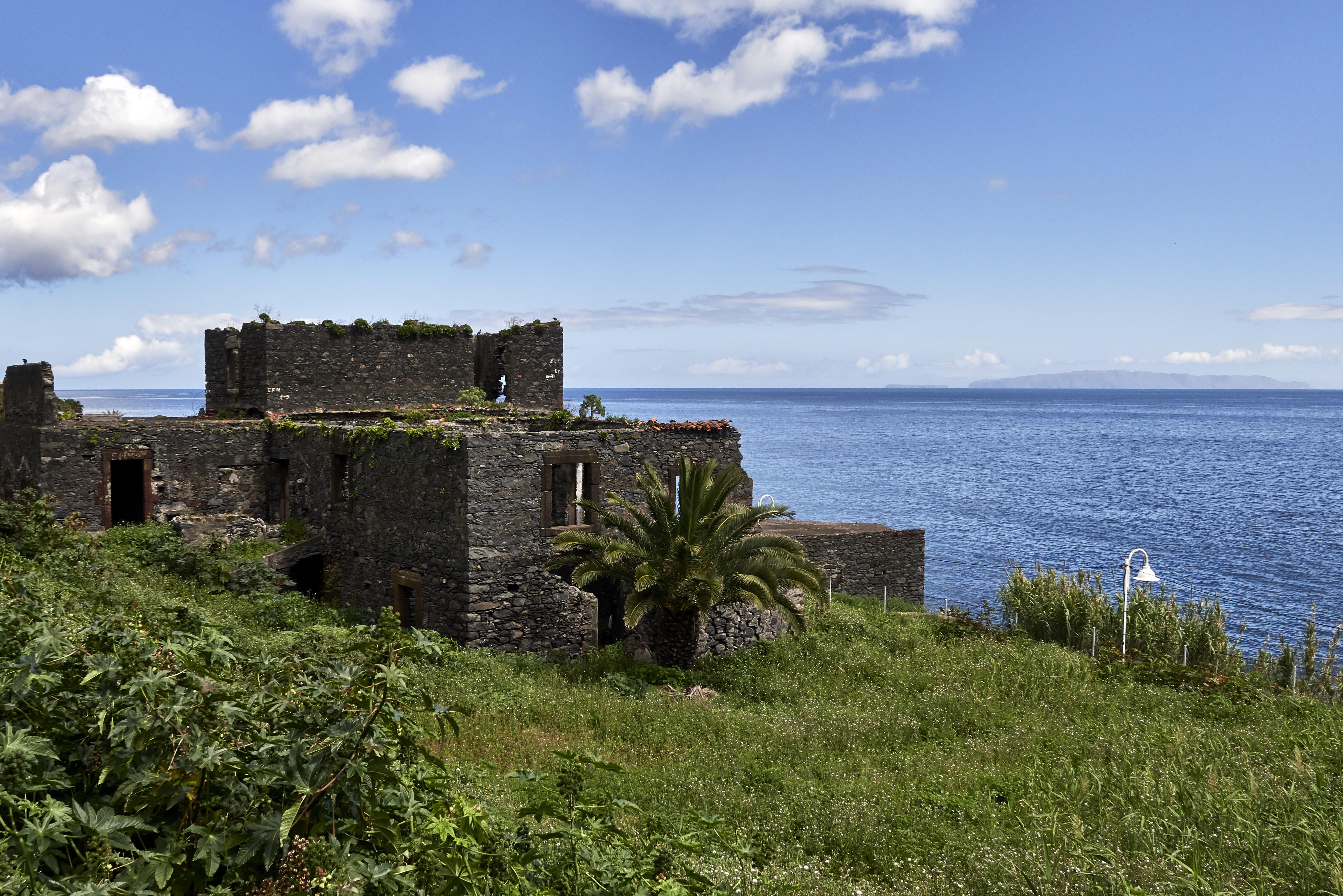 0295  Urlaub Madeira 032018