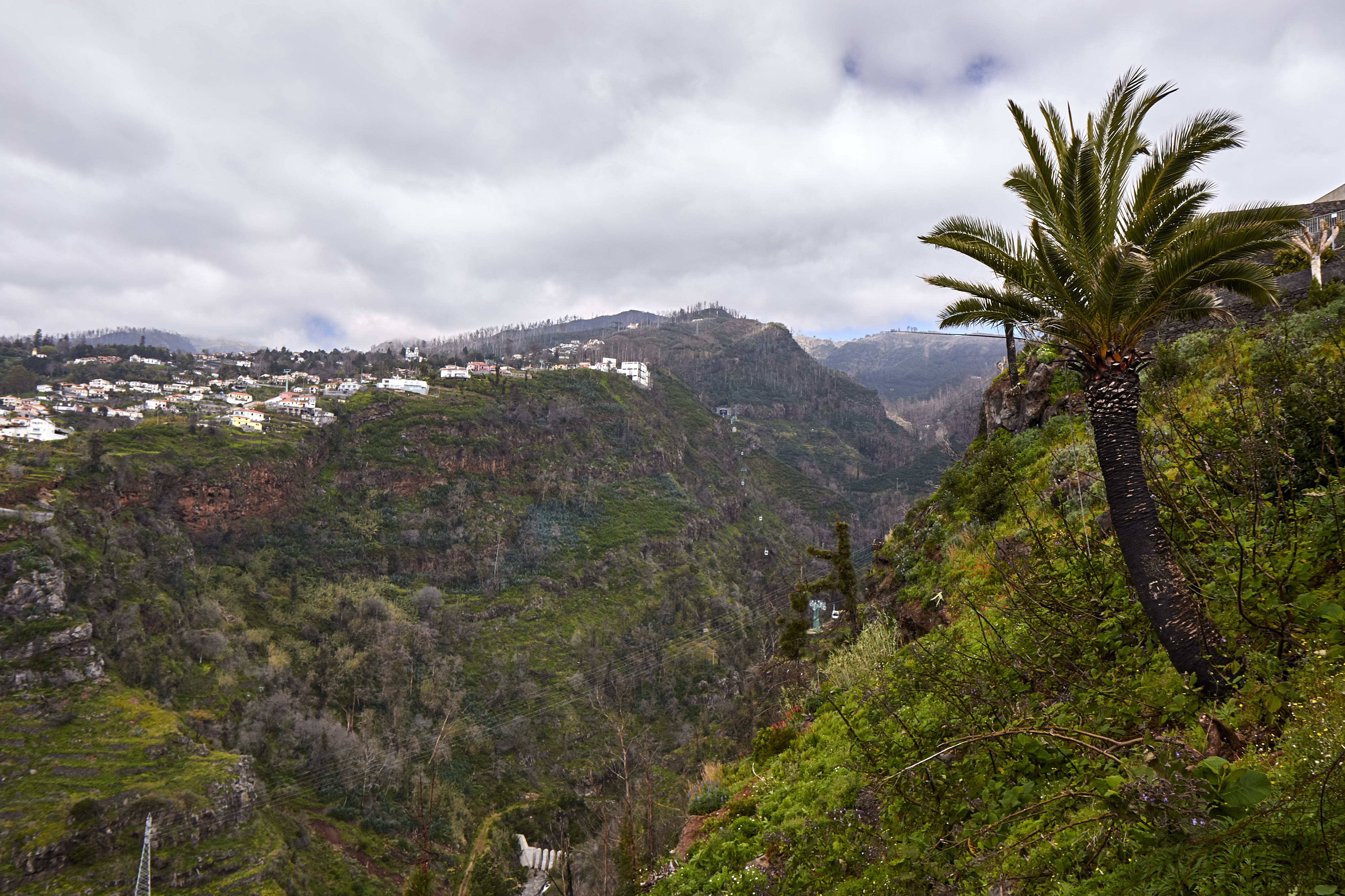 0395  Urlaub Madeira 032018