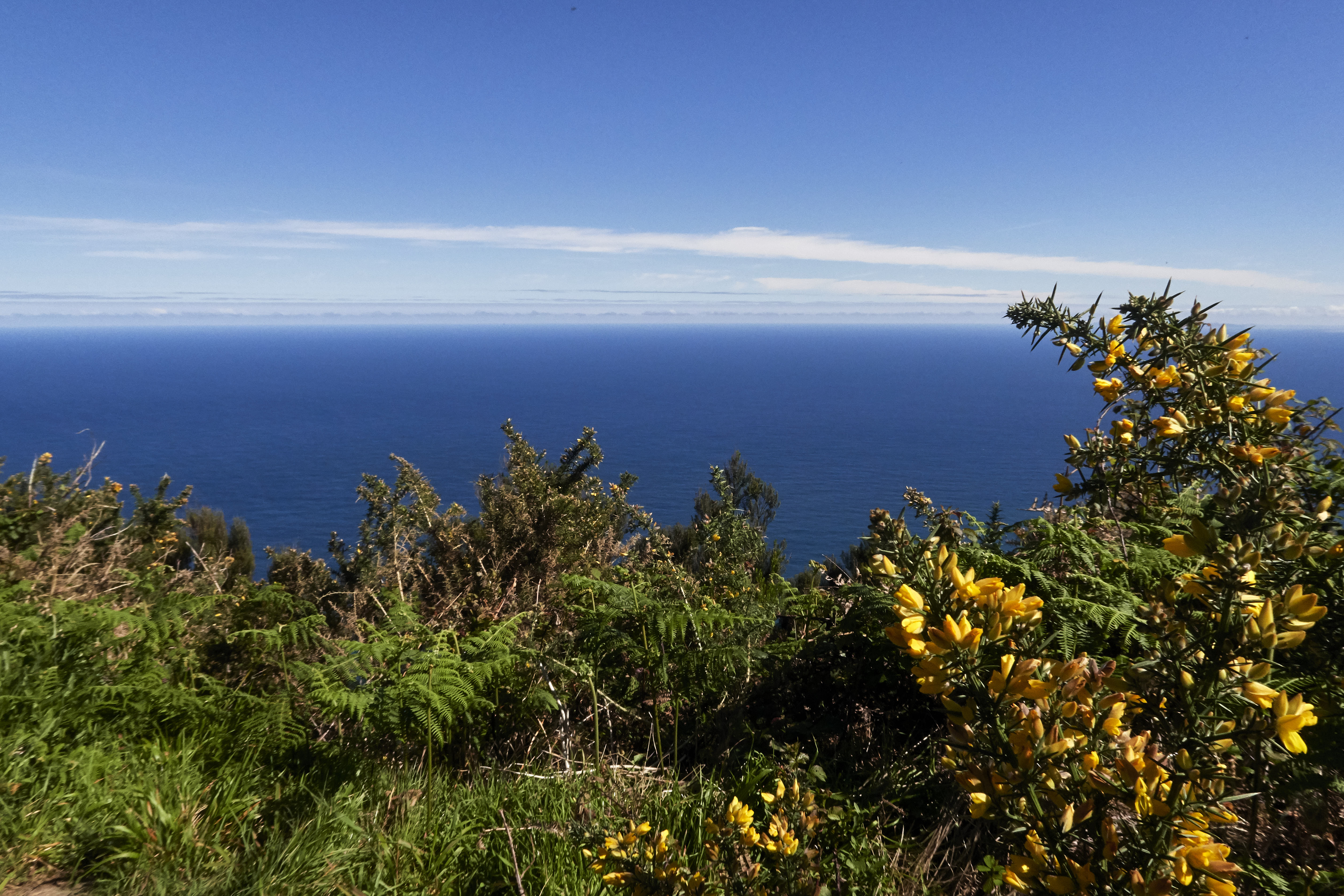 0428  Urlaub Madeira 032018