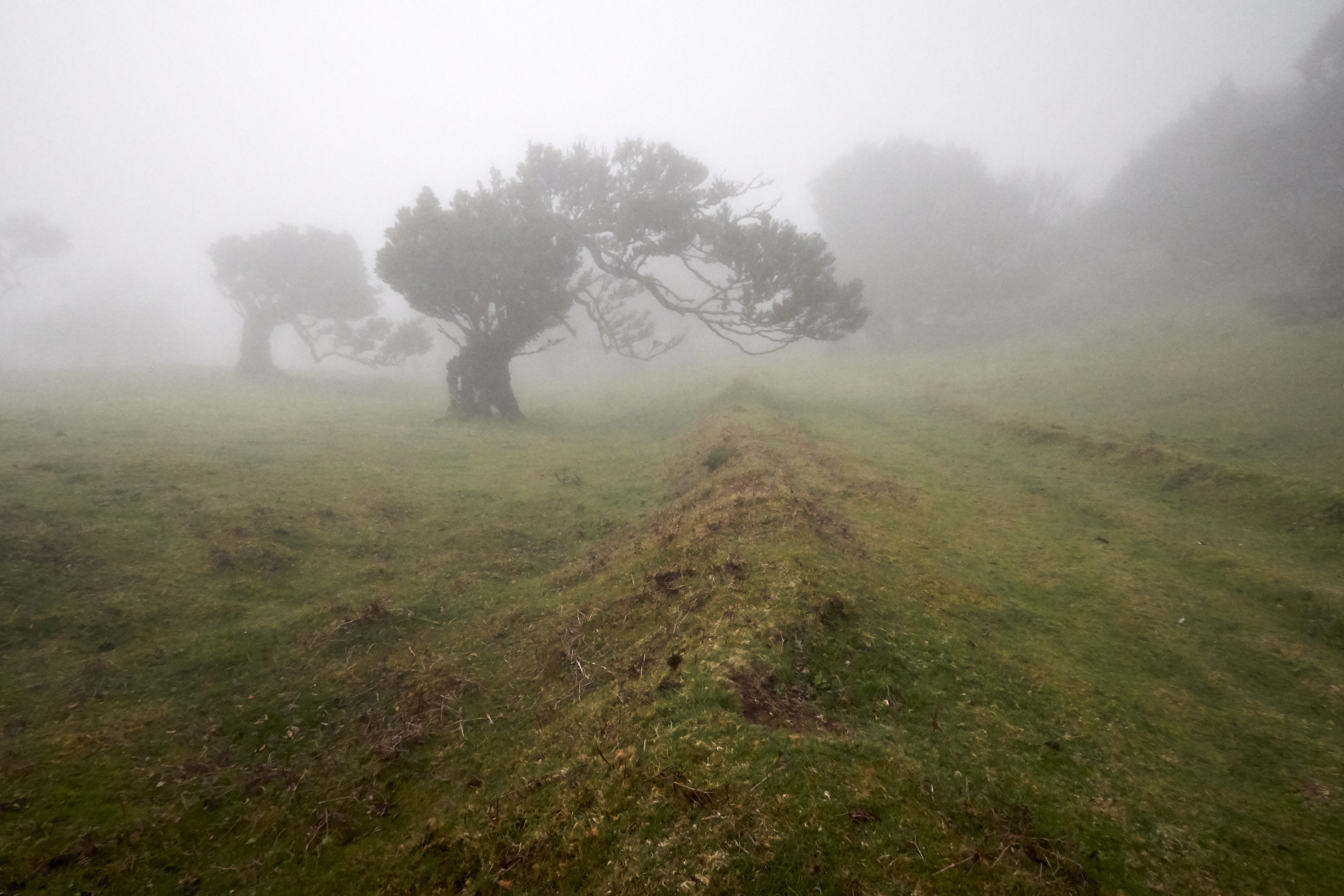 0479  Urlaub Madeira 032018