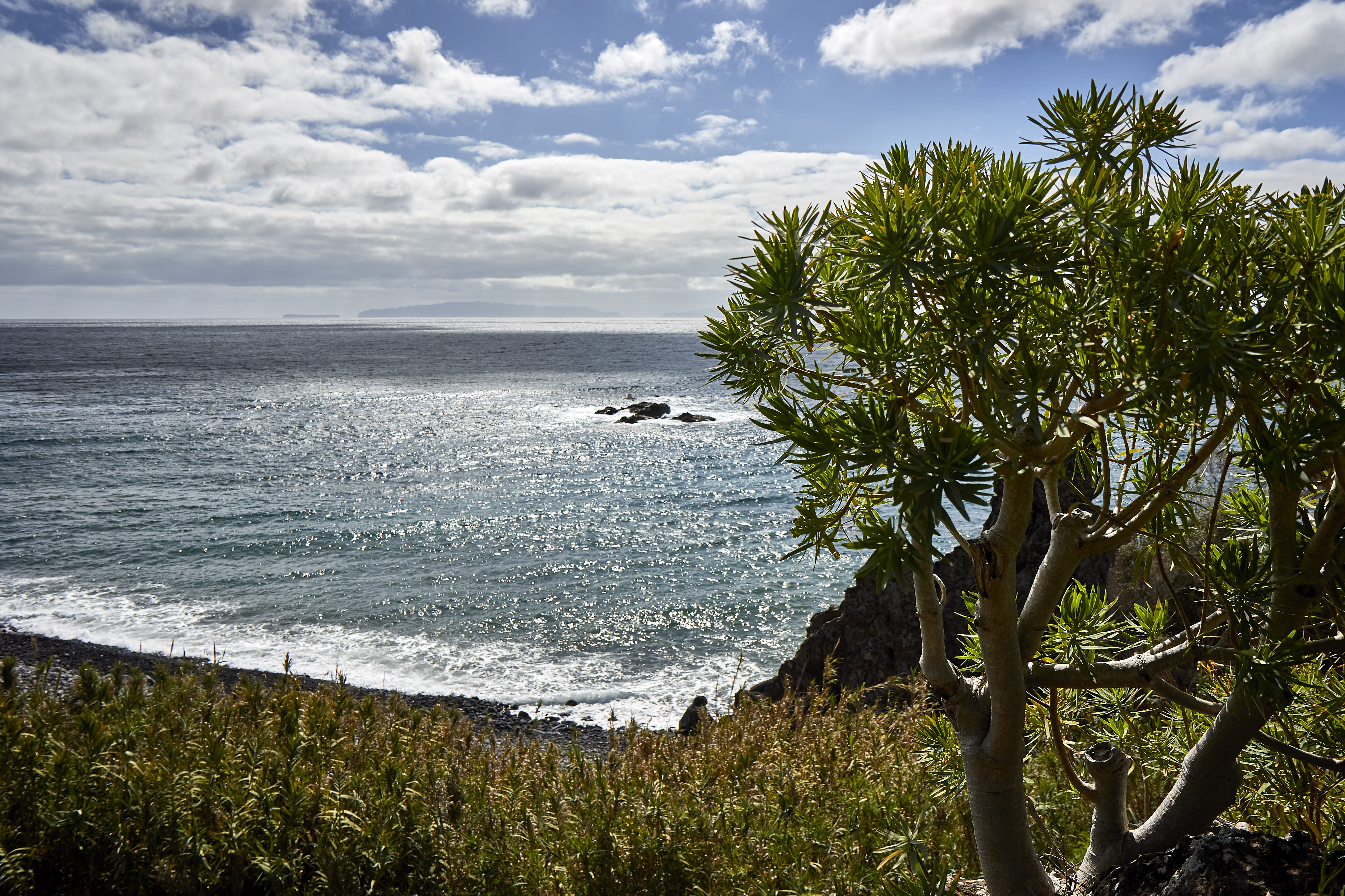 0553  Urlaub Madeira 032018