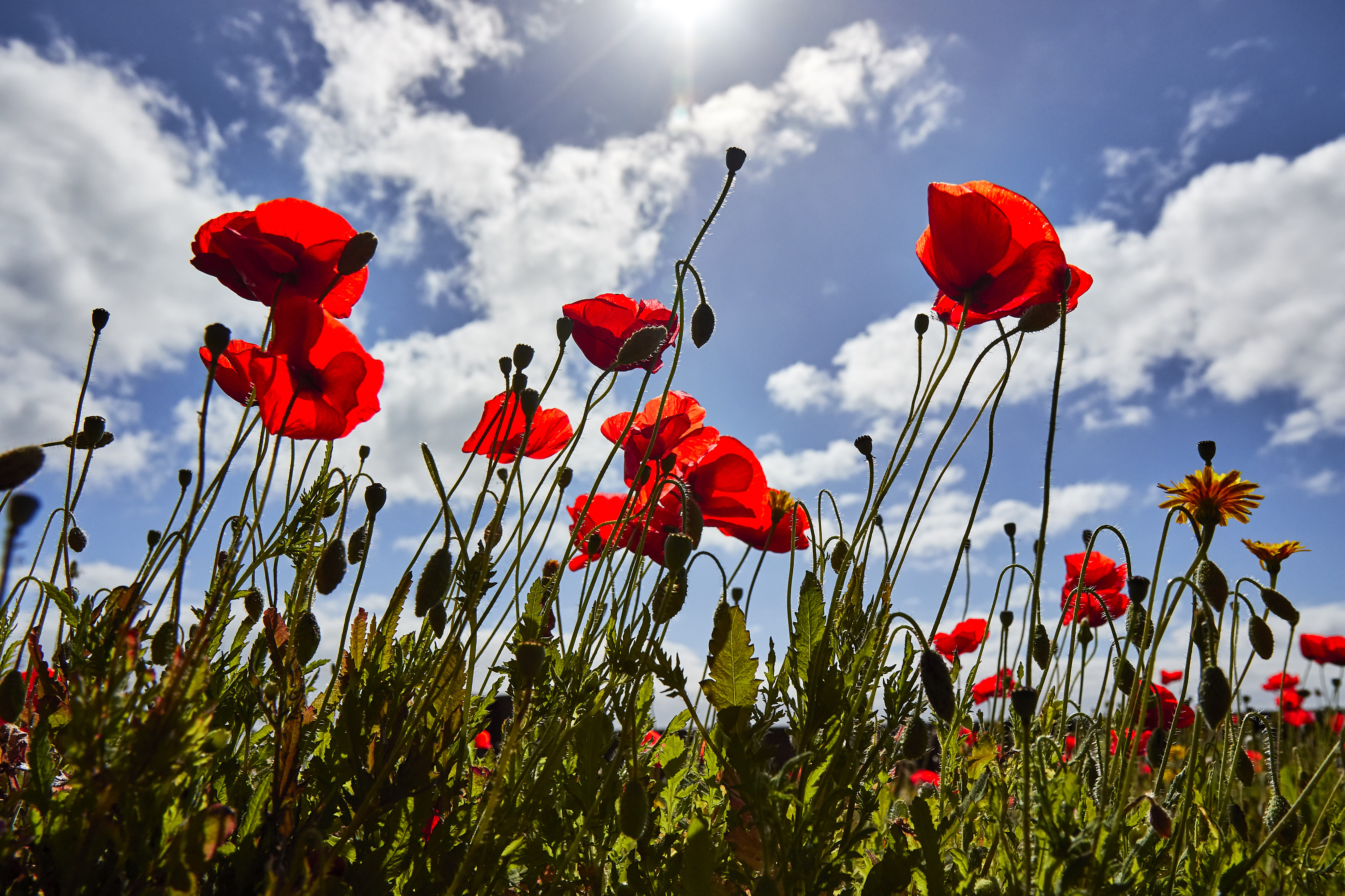 0570  Urlaub Madeira 032018