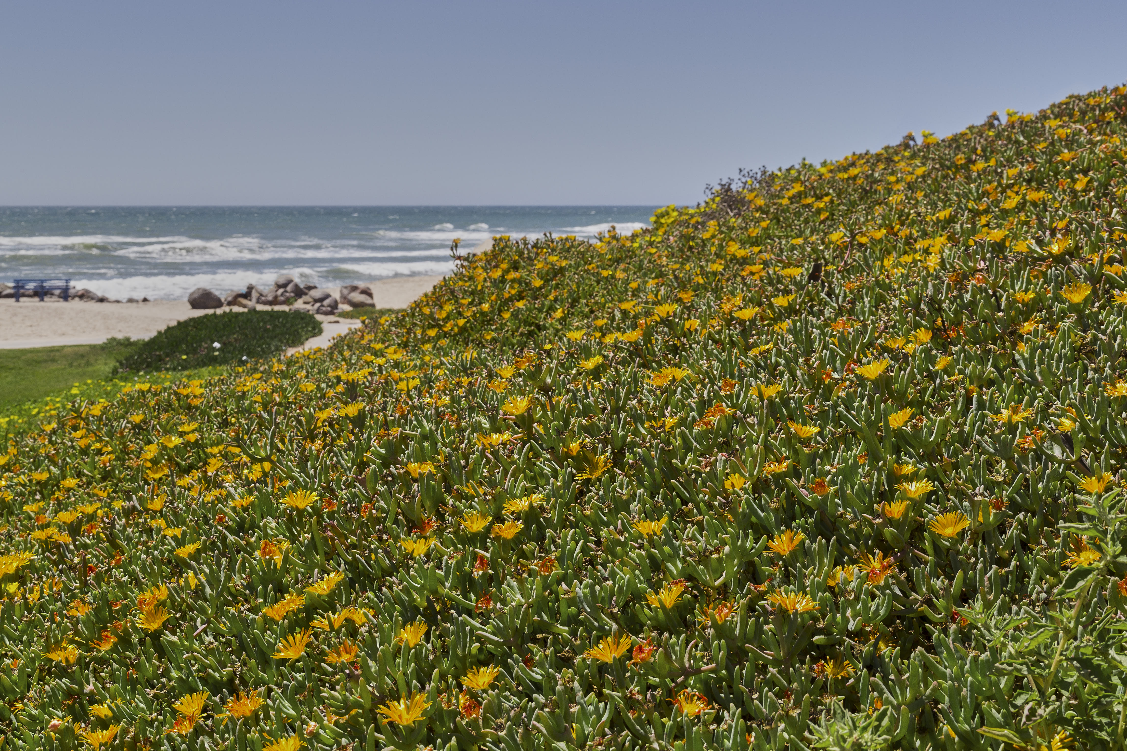 845 APJ IMG 5779 mod 2