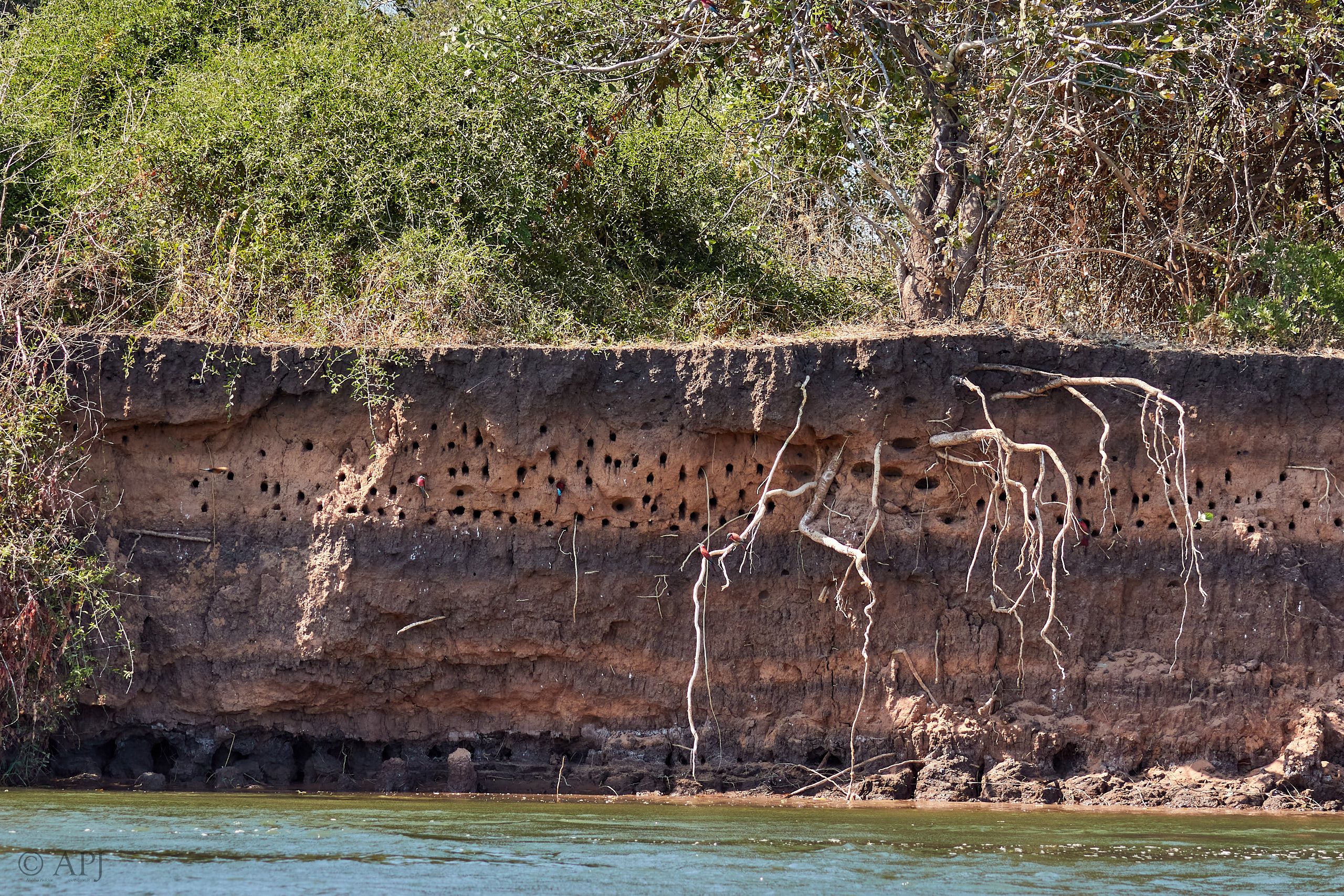 00061 APJ Sambia Malawi 2018 00438