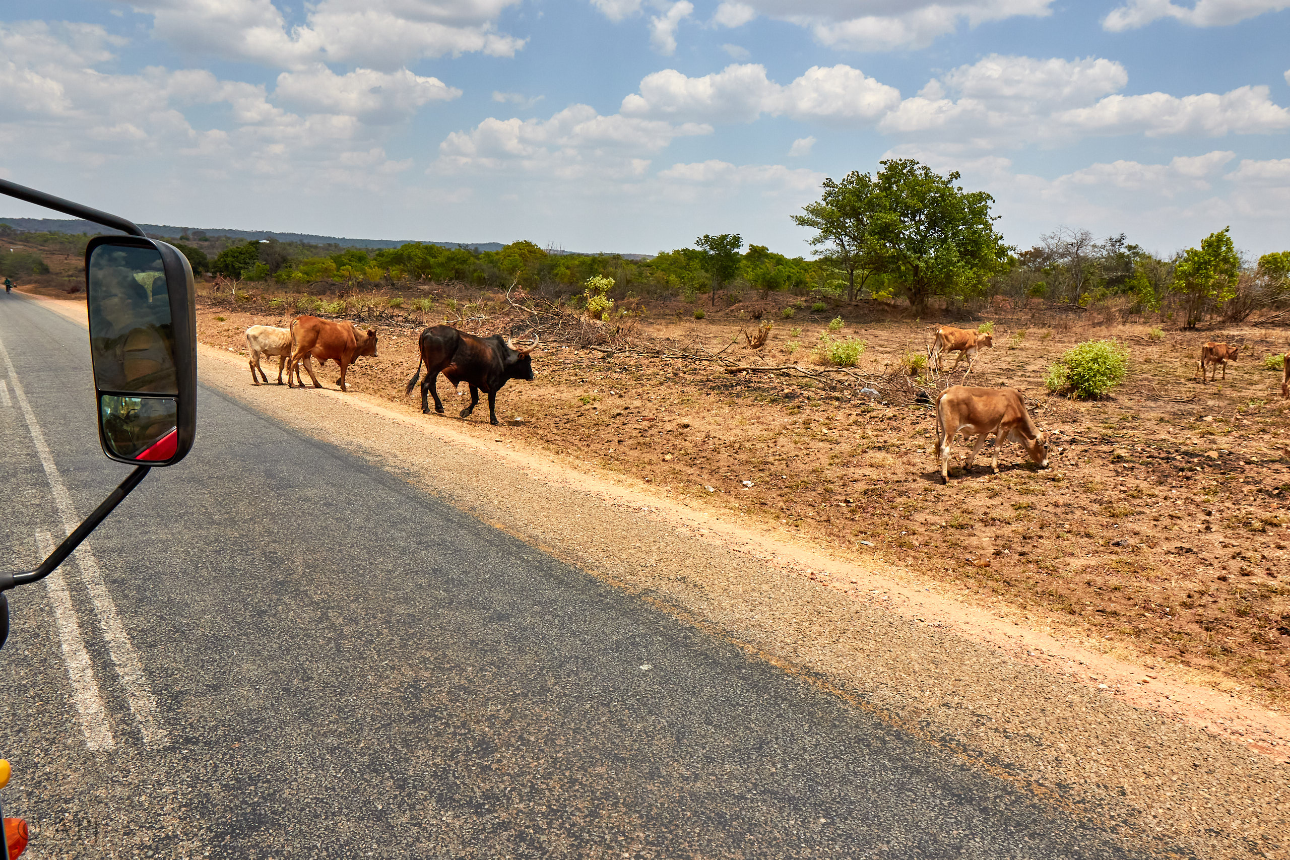 00091 APJ Sambia Malawi 2018 00702