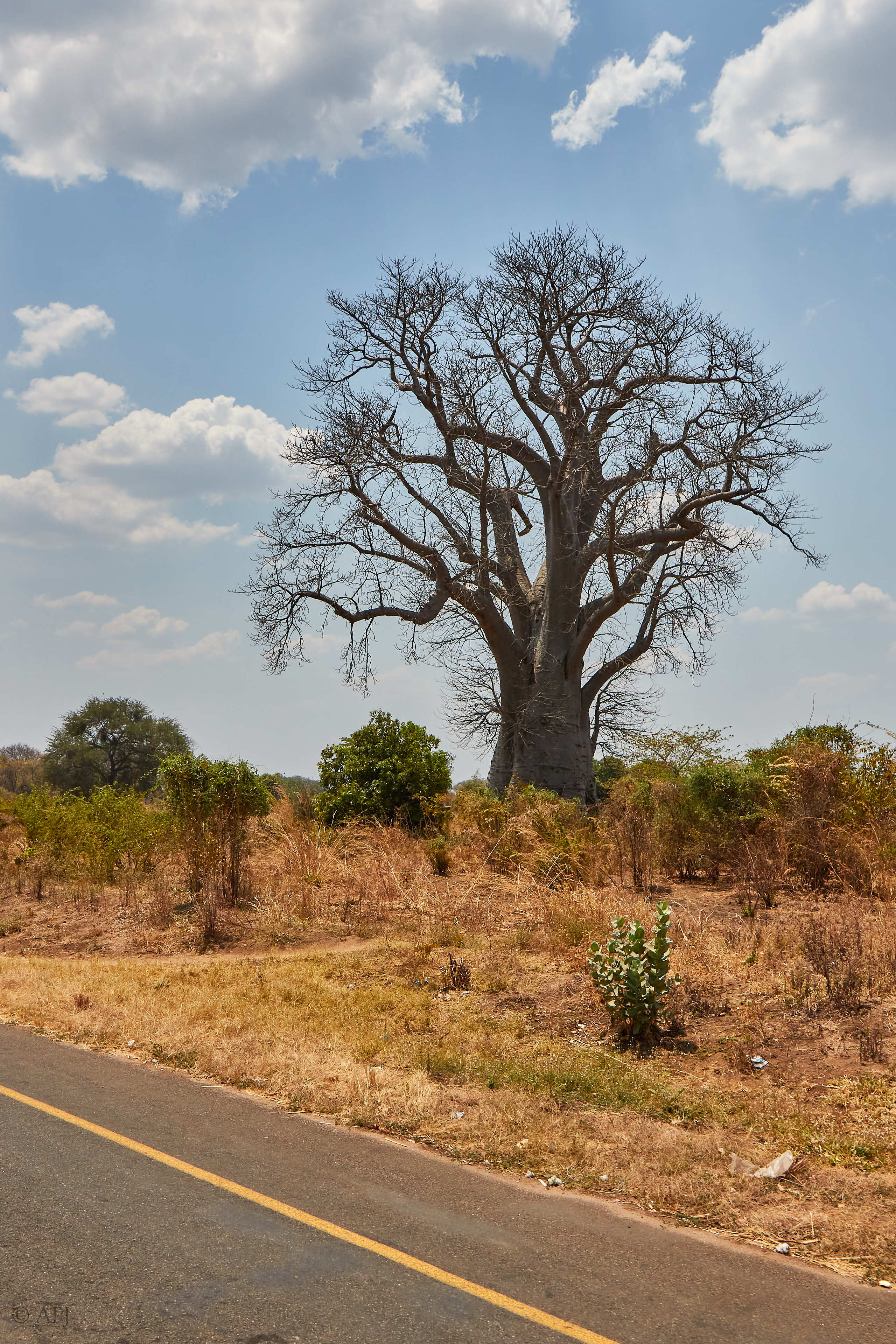 00120 APJ Sambia Malawi 2018 00807