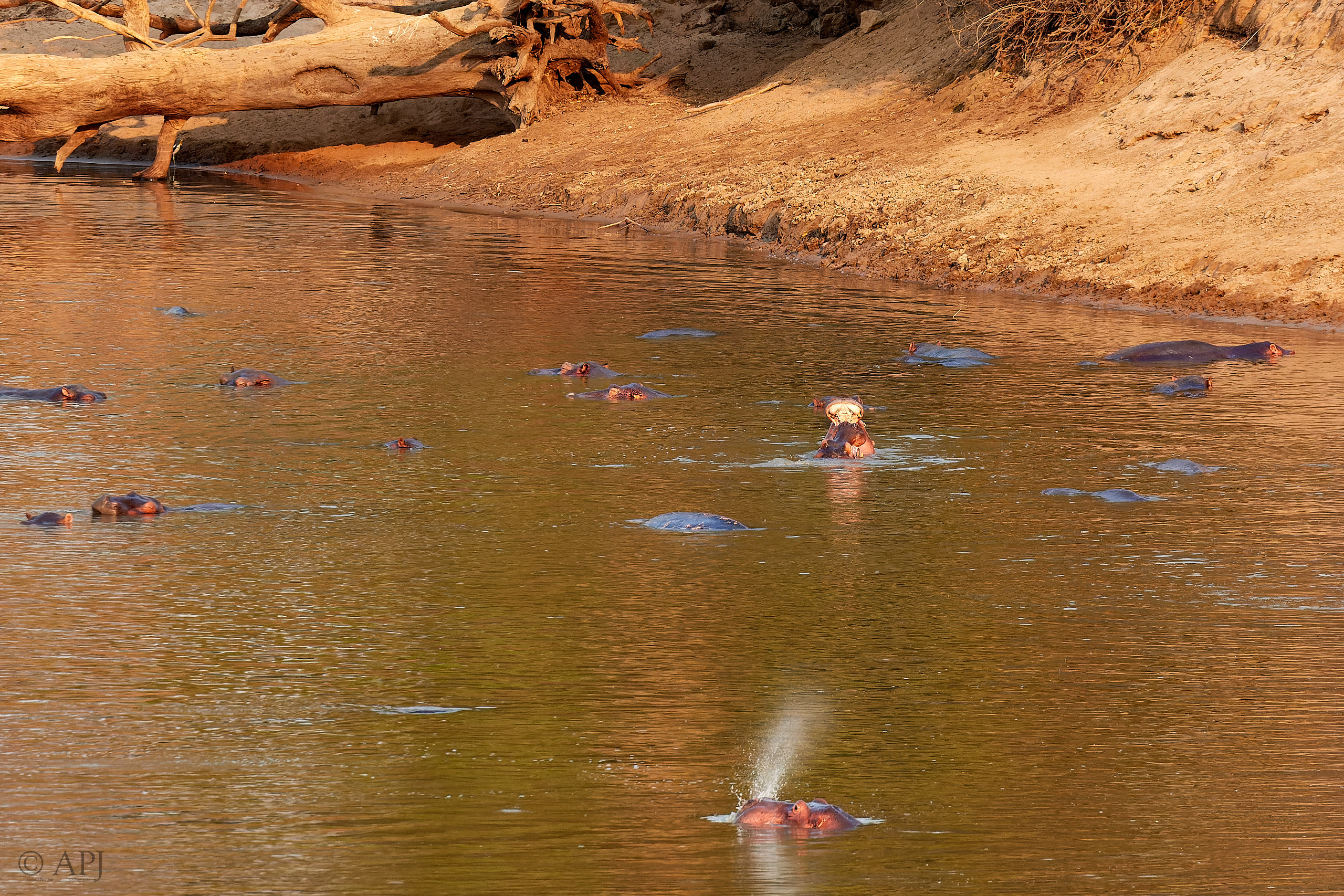 00152 APJ Sambia Malawi 2018 01031 D