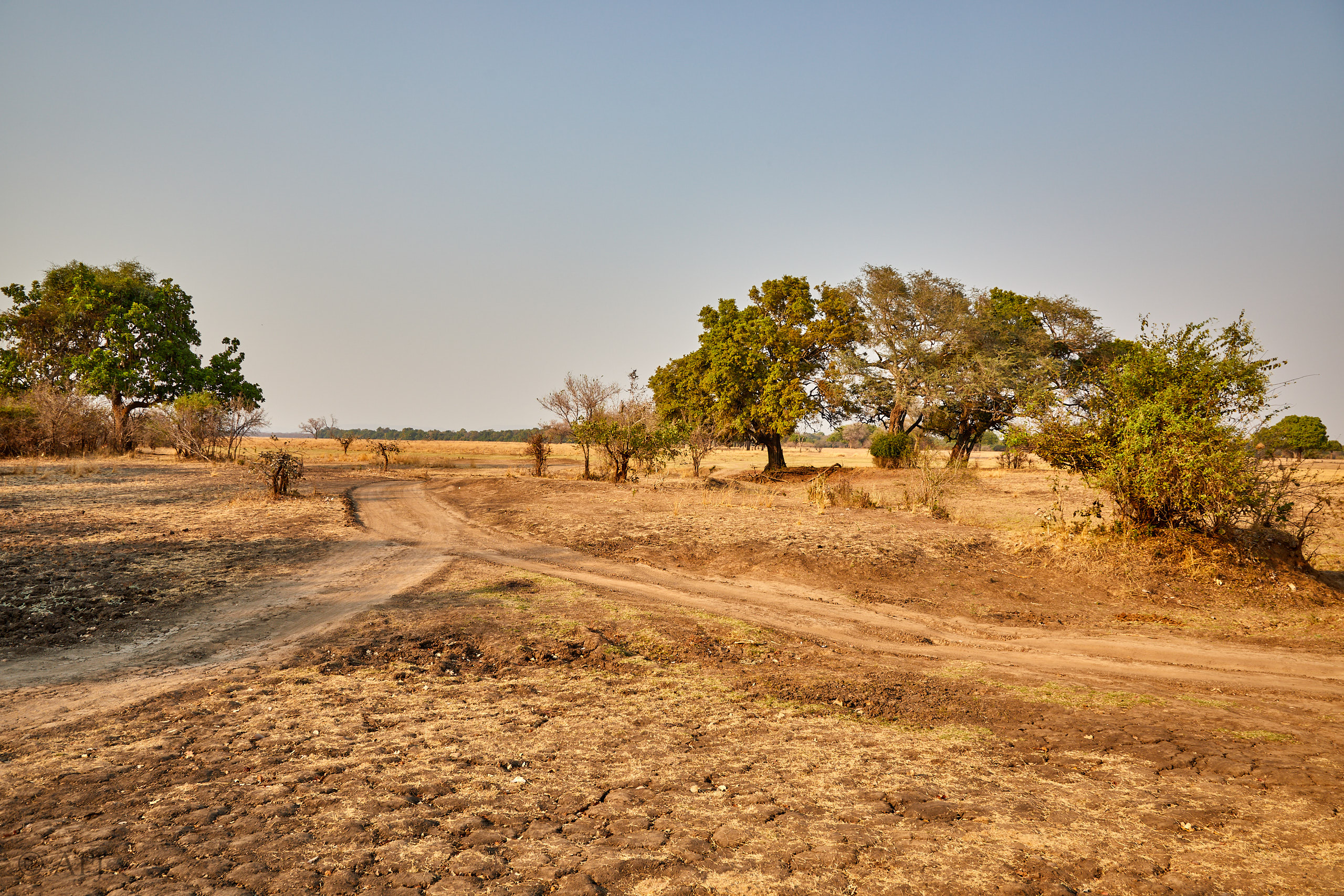 00159 APJ Sambia Malawi 2018 01088