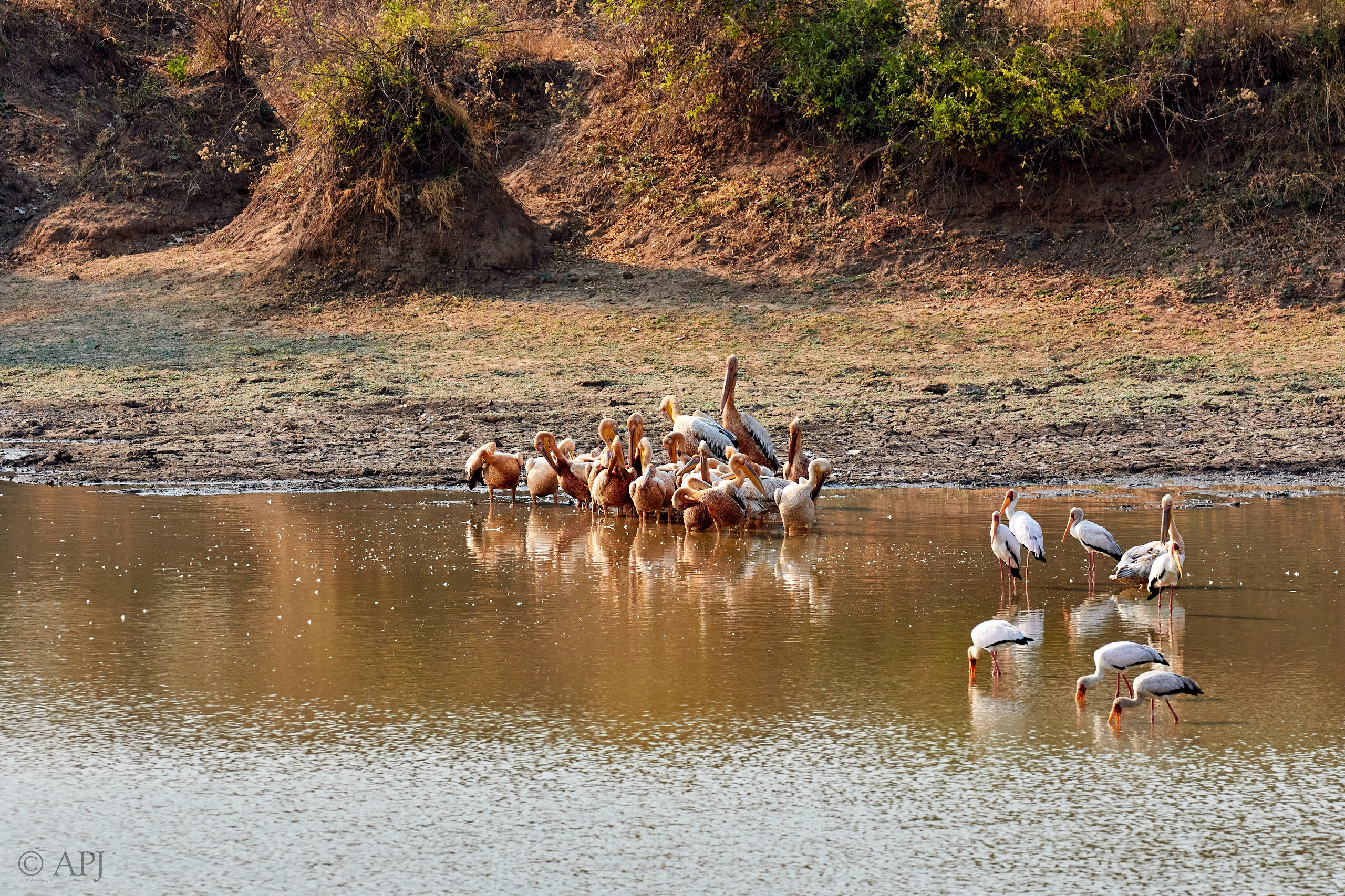 00163 APJ Sambia Malawi 2018 01123