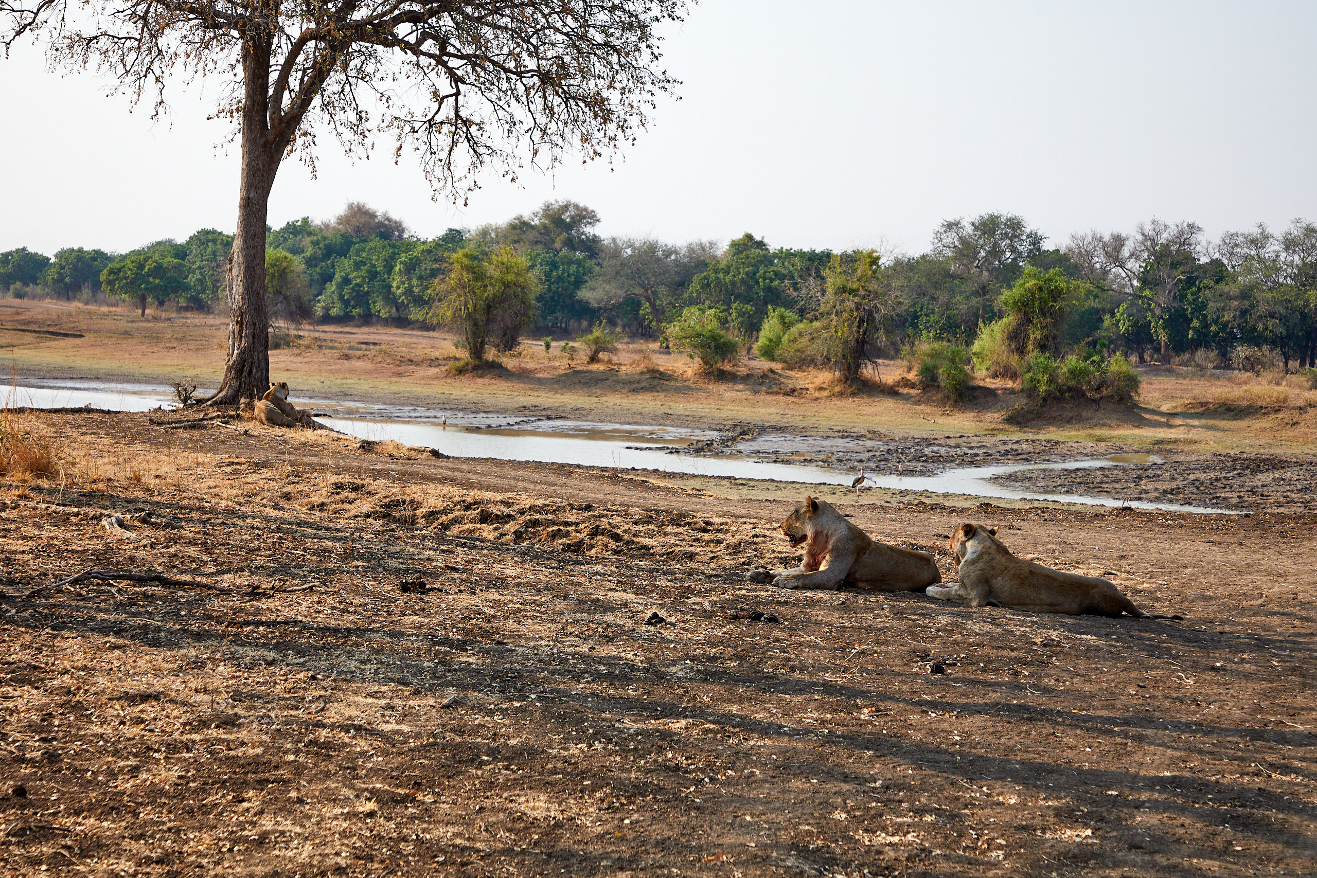 00165 APJ Sambia Malawi 2018 01150