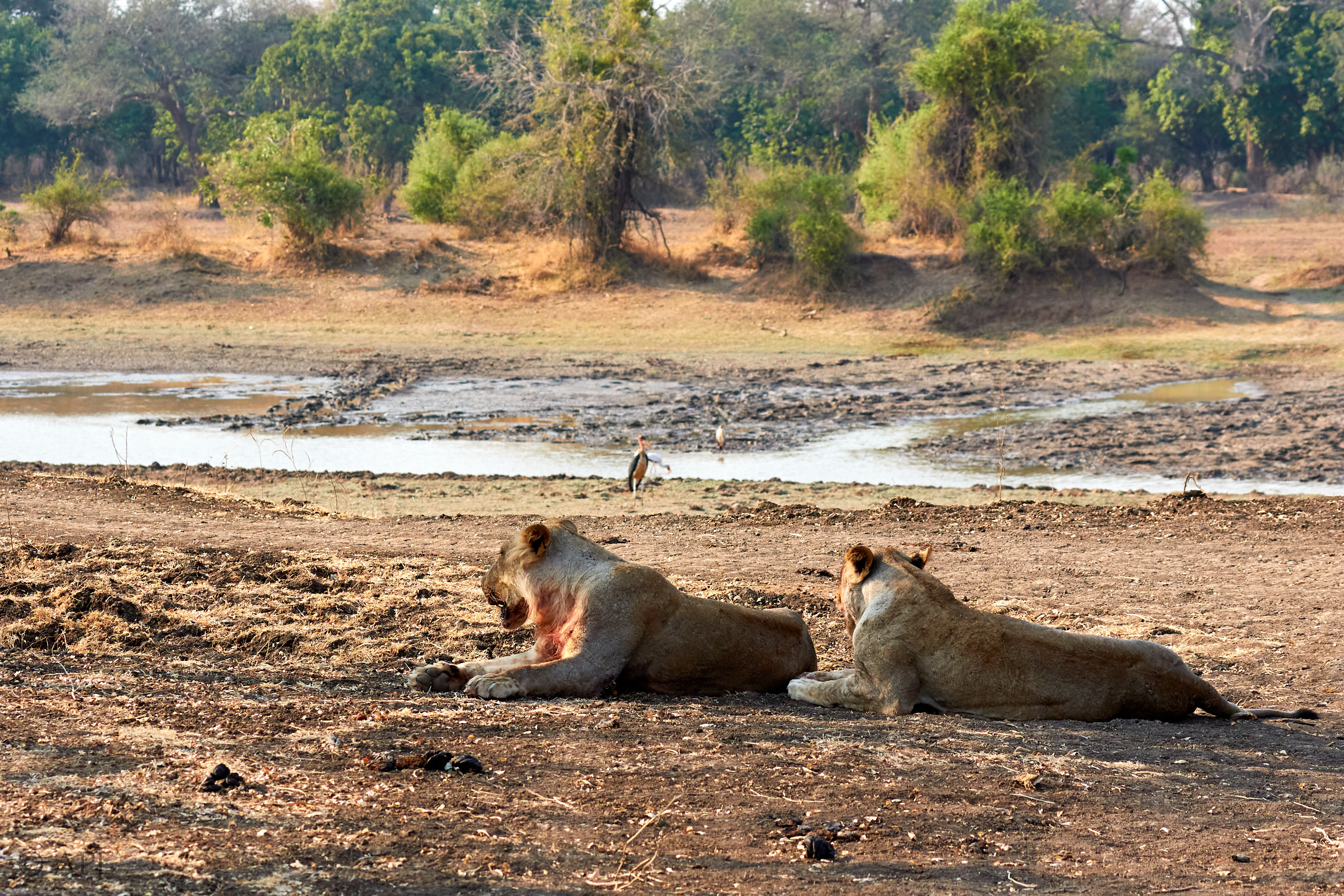 00166 APJ Sambia Malawi 2018 01151