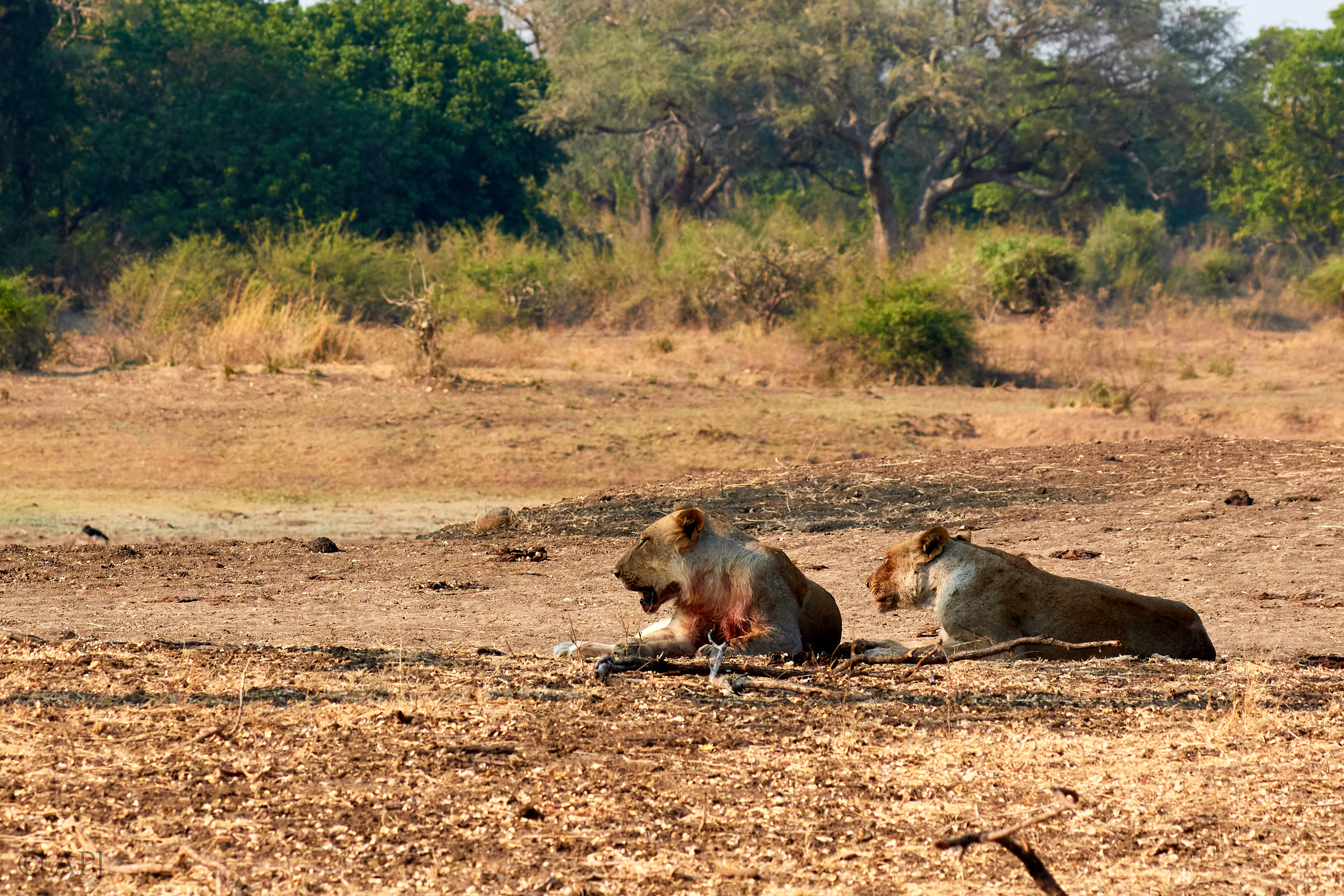 00169 APJ Sambia Malawi 2018 01163