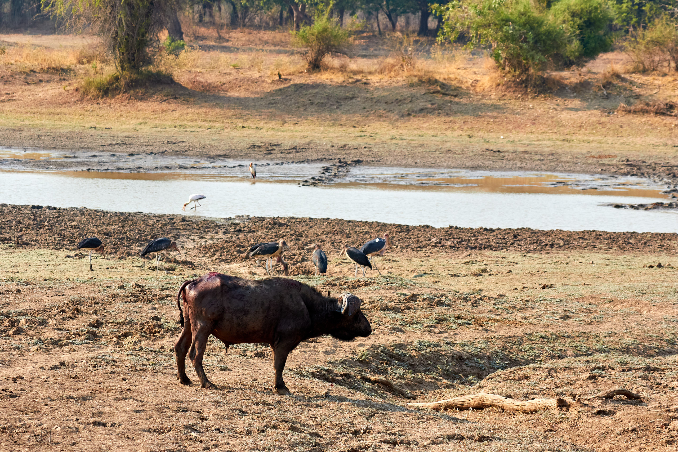 00170 APJ Sambia Malawi 2018 01169
