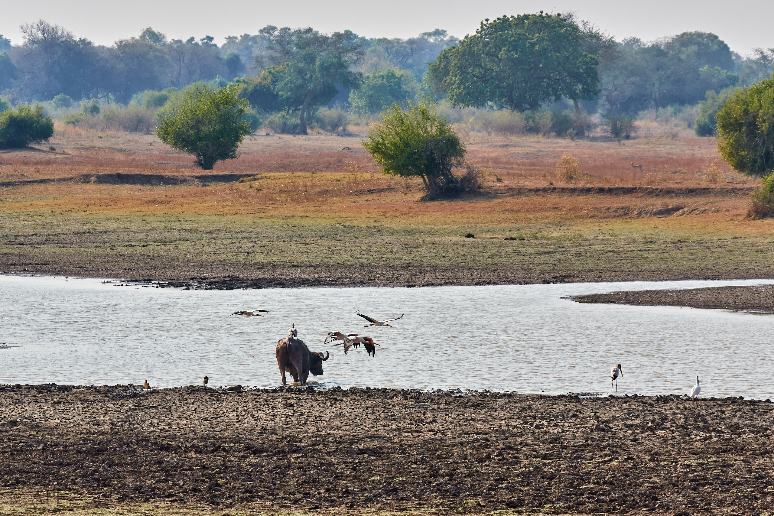 00173 APJ Sambia Malawi 2018 01220