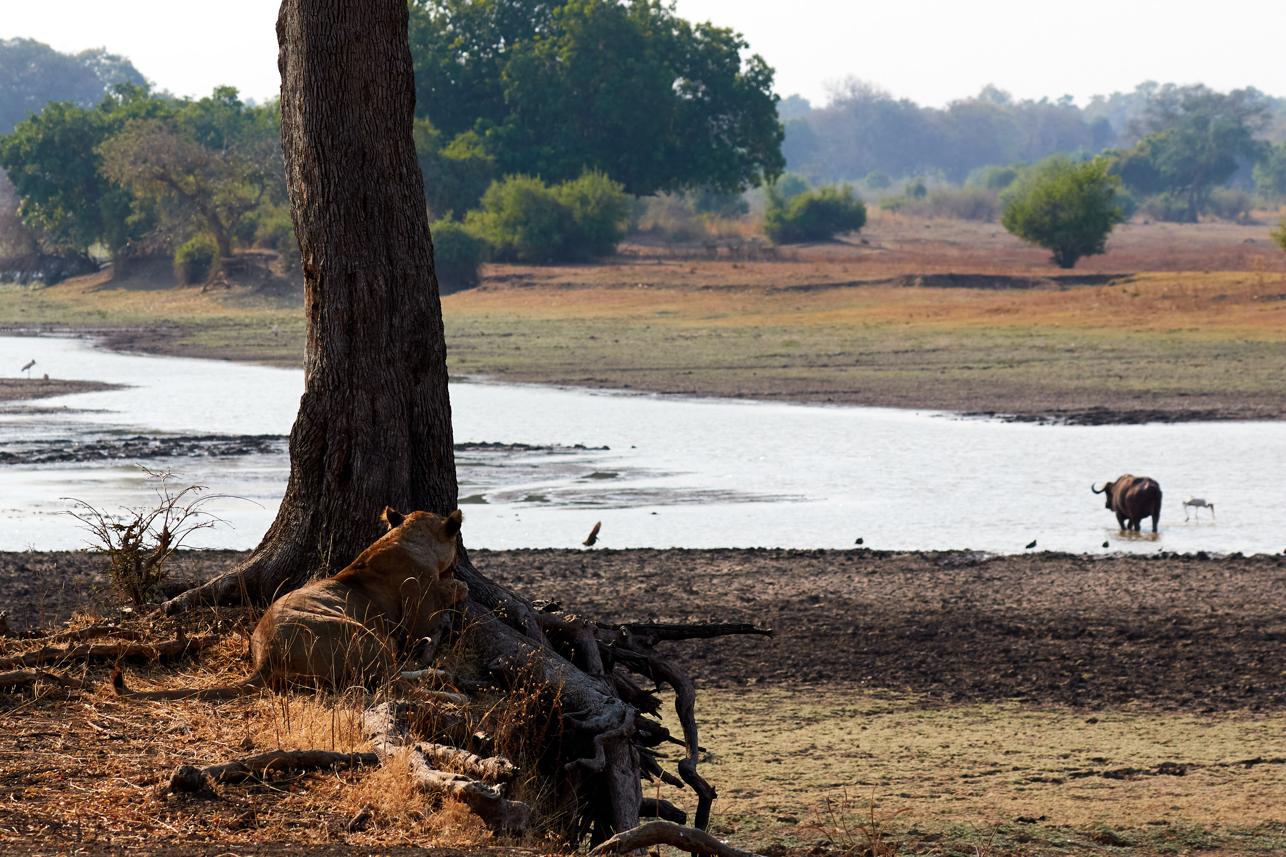 00174 APJ Sambia Malawi 2018 01226