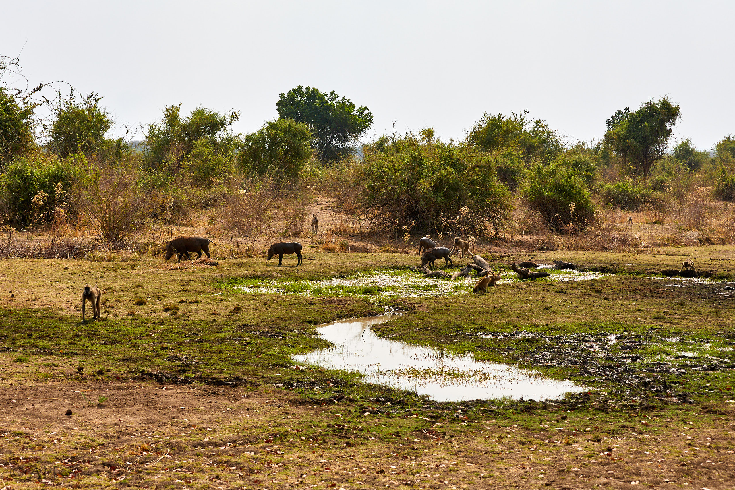 00195 APJ Sambia Malawi 2018 01429