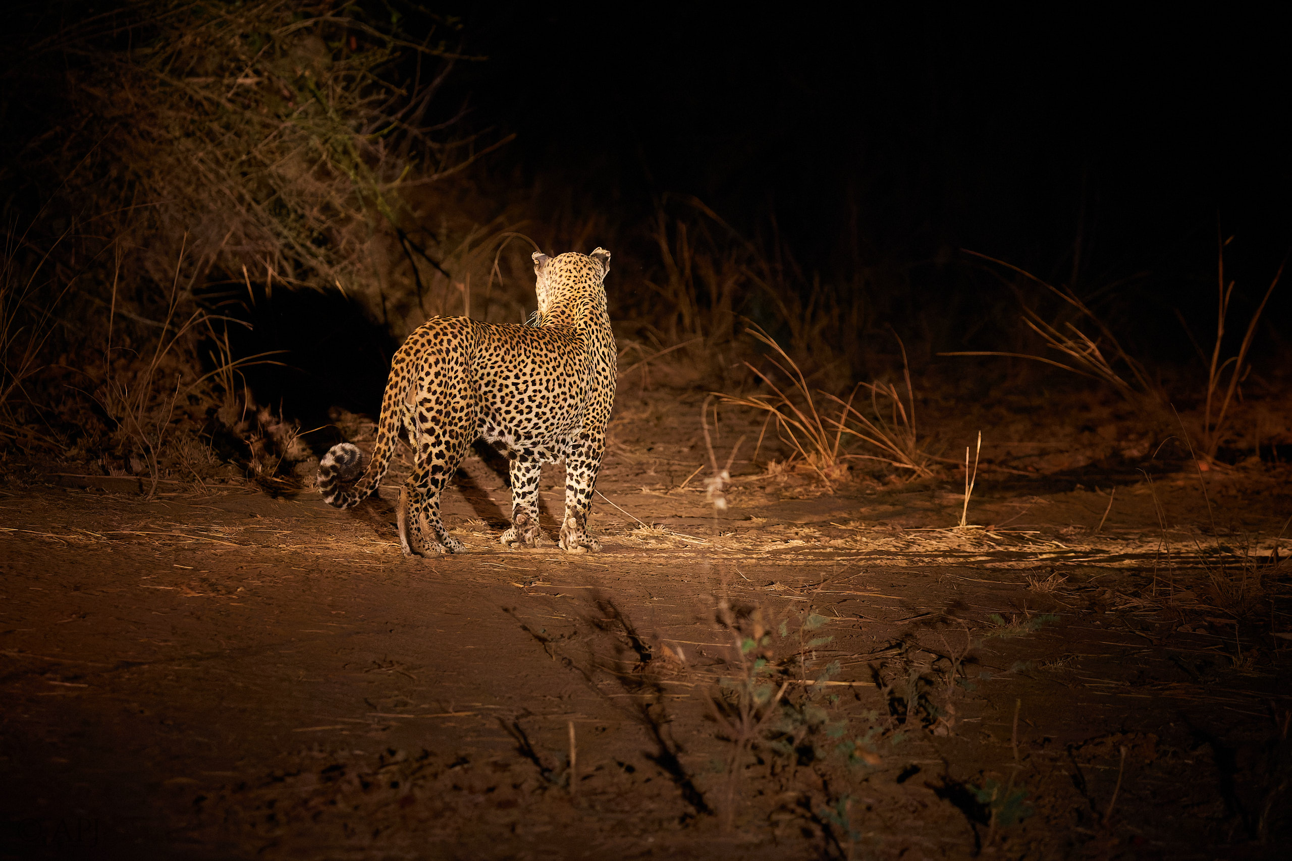 00220 APJ Sambia Malawi 2018 01736