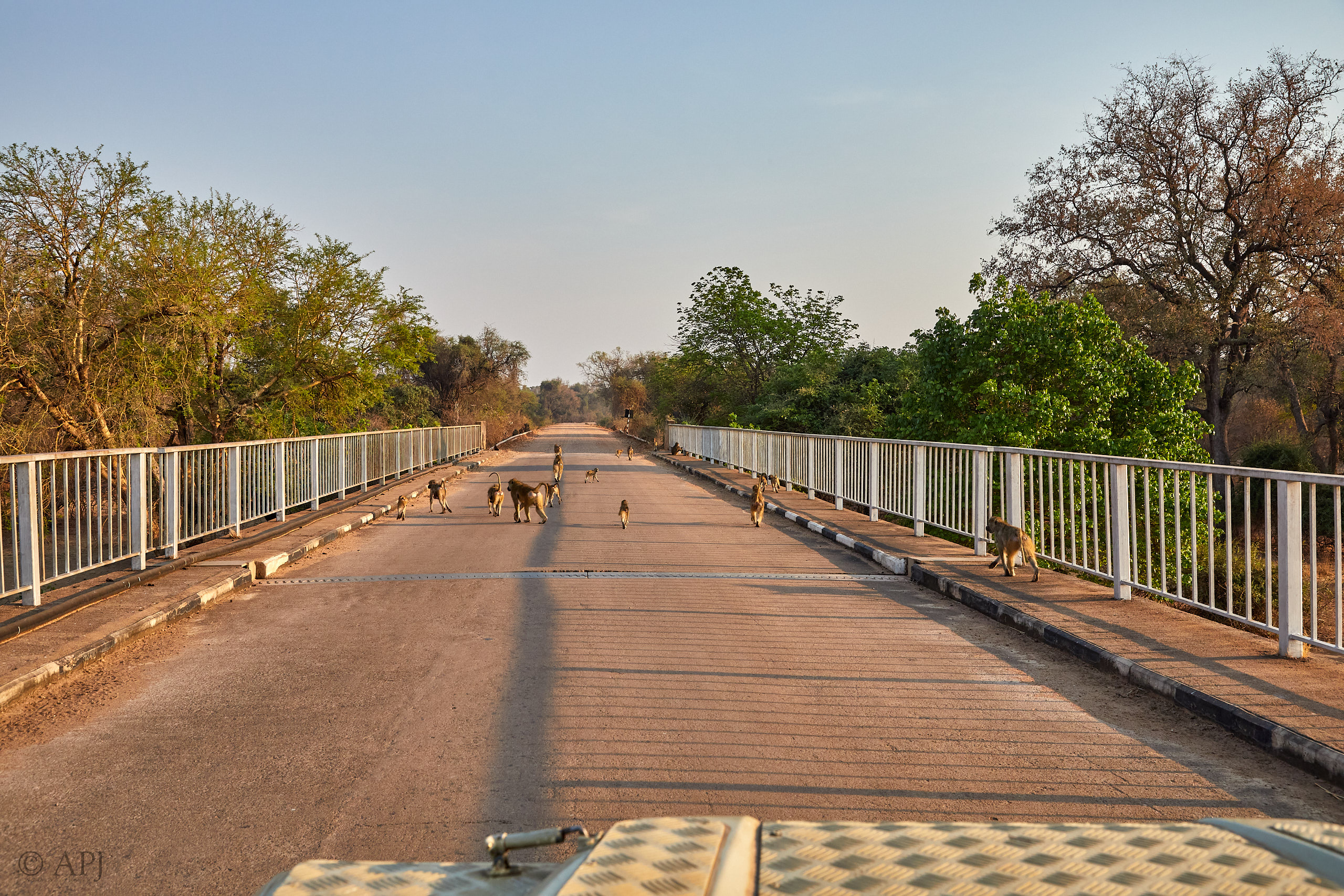 00224 APJ Sambia Malawi 2018 01795