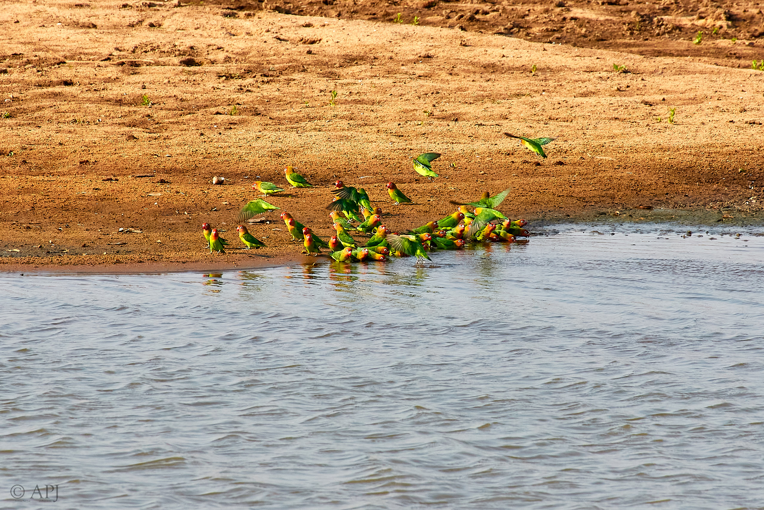 00231 APJ Sambia Malawi 2018 01862