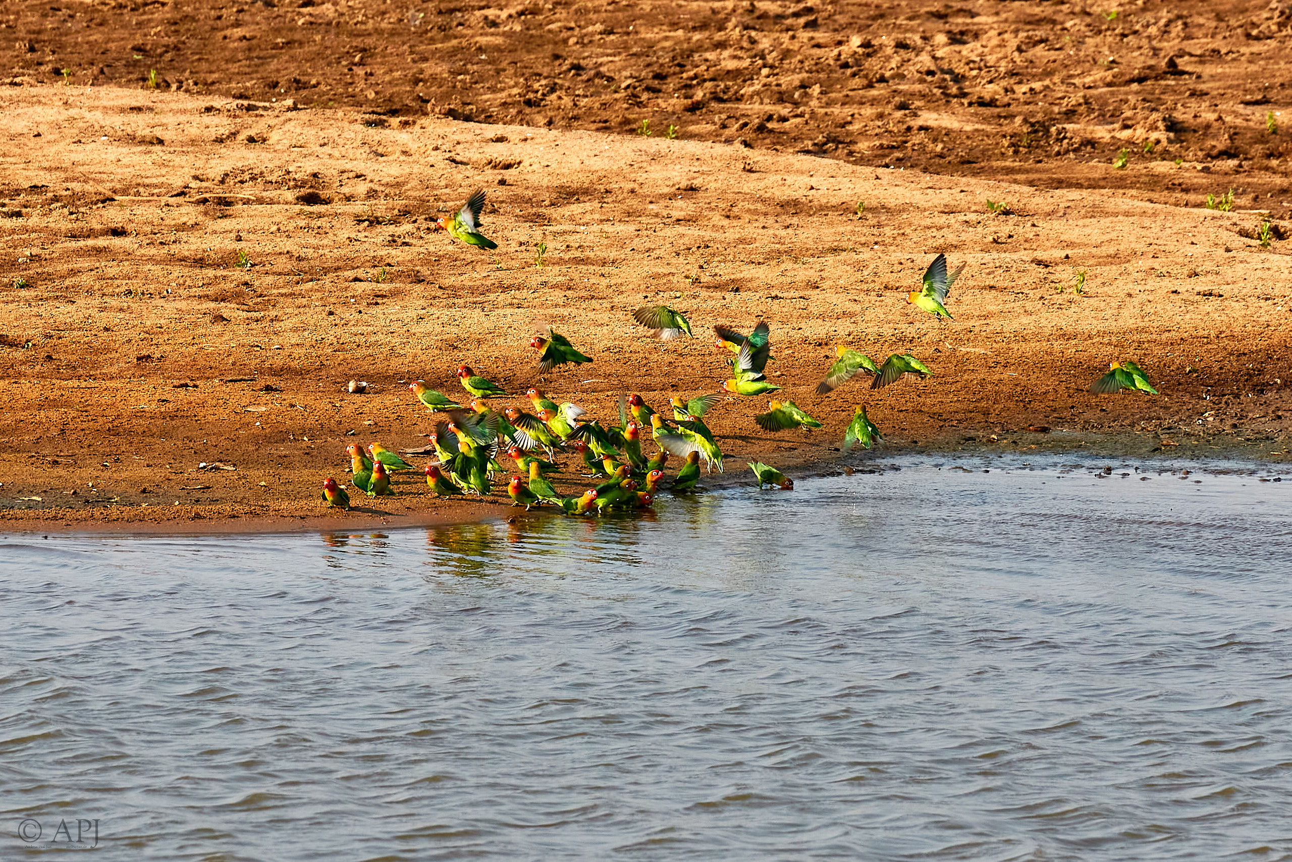 00232 APJ Sambia Malawi 2018 01867