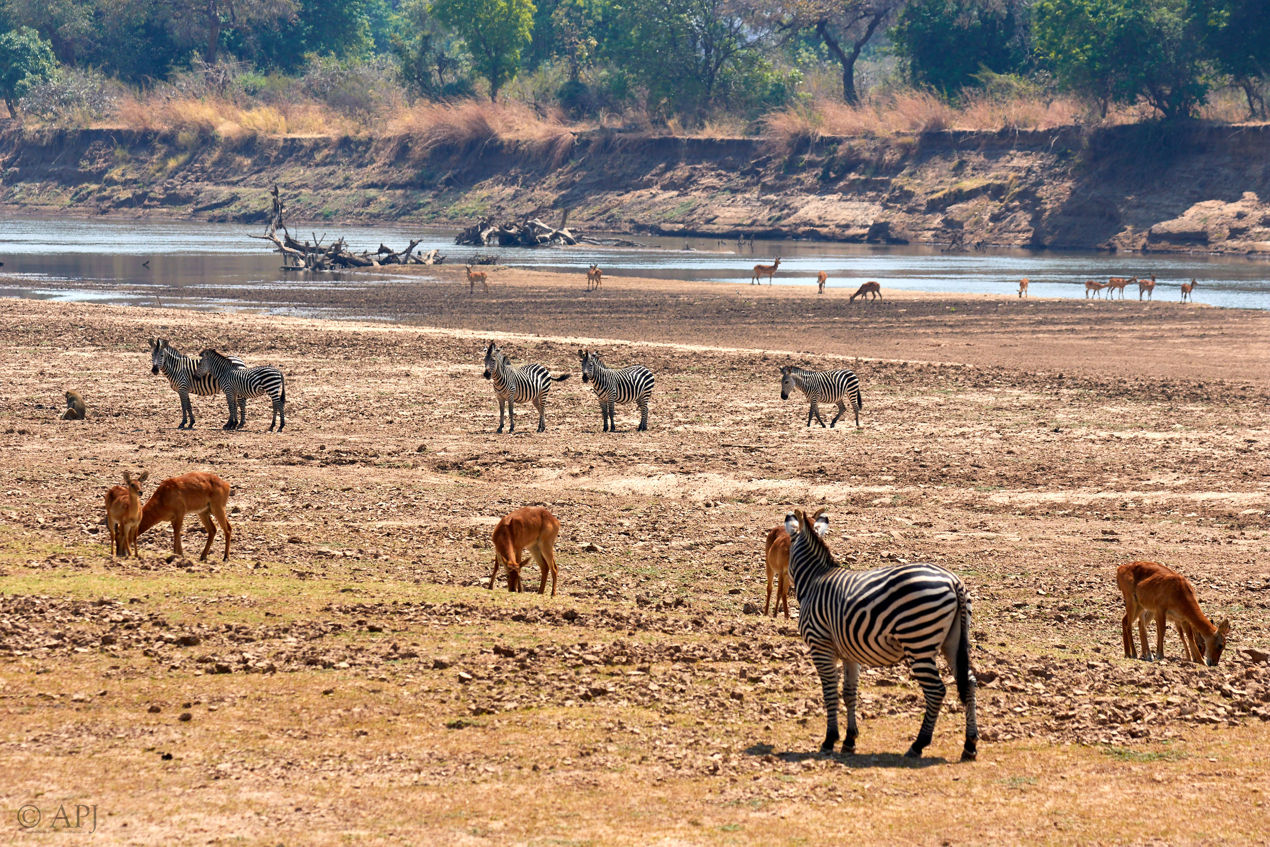 00258 APJ Sambia Malawi 2018 02102