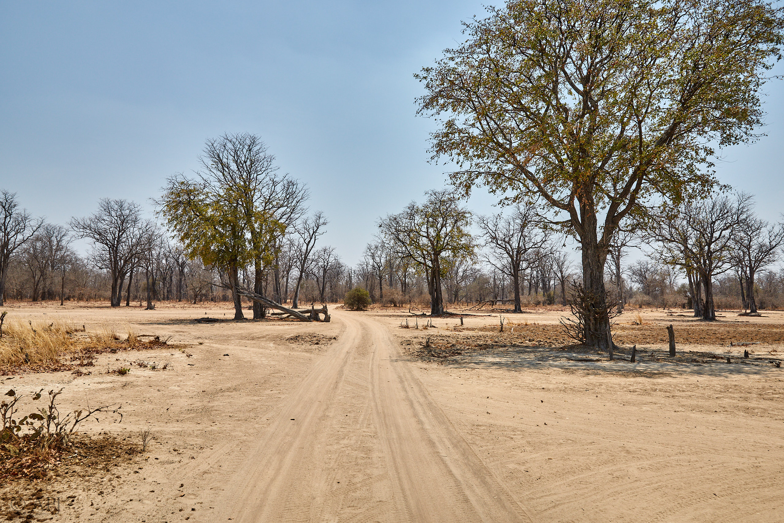 00262 APJ Sambia Malawi 2018 02125