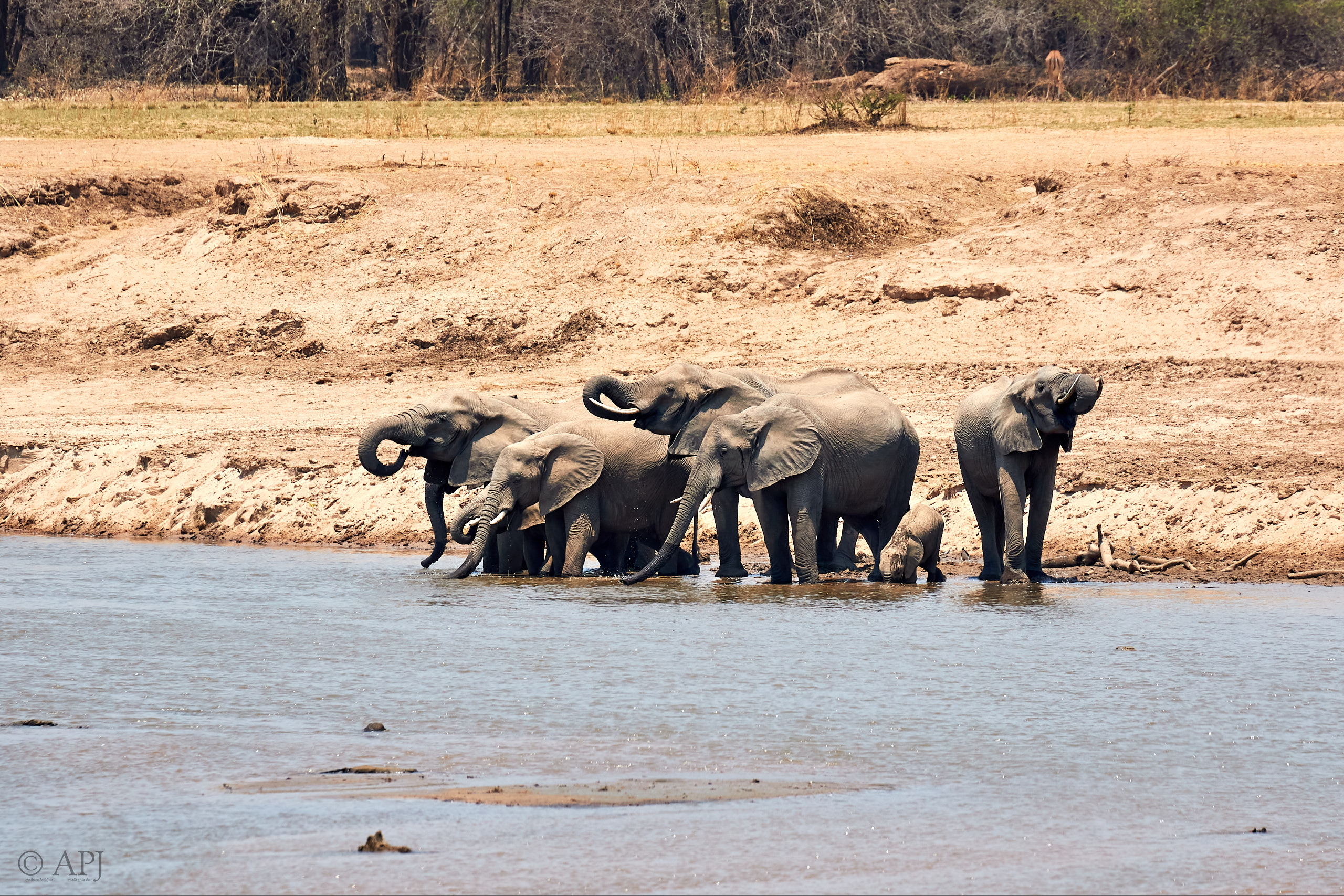 00270 APJ Sambia Malawi 2018 02218