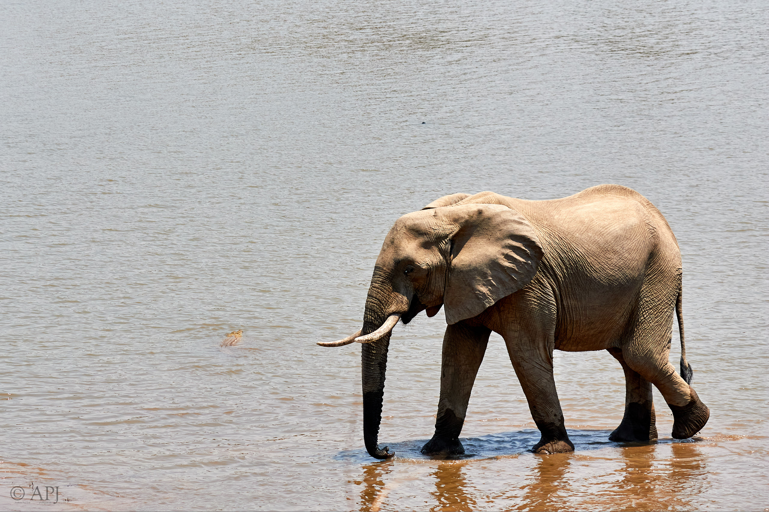 00275 APJ Sambia Malawi 2018 02277