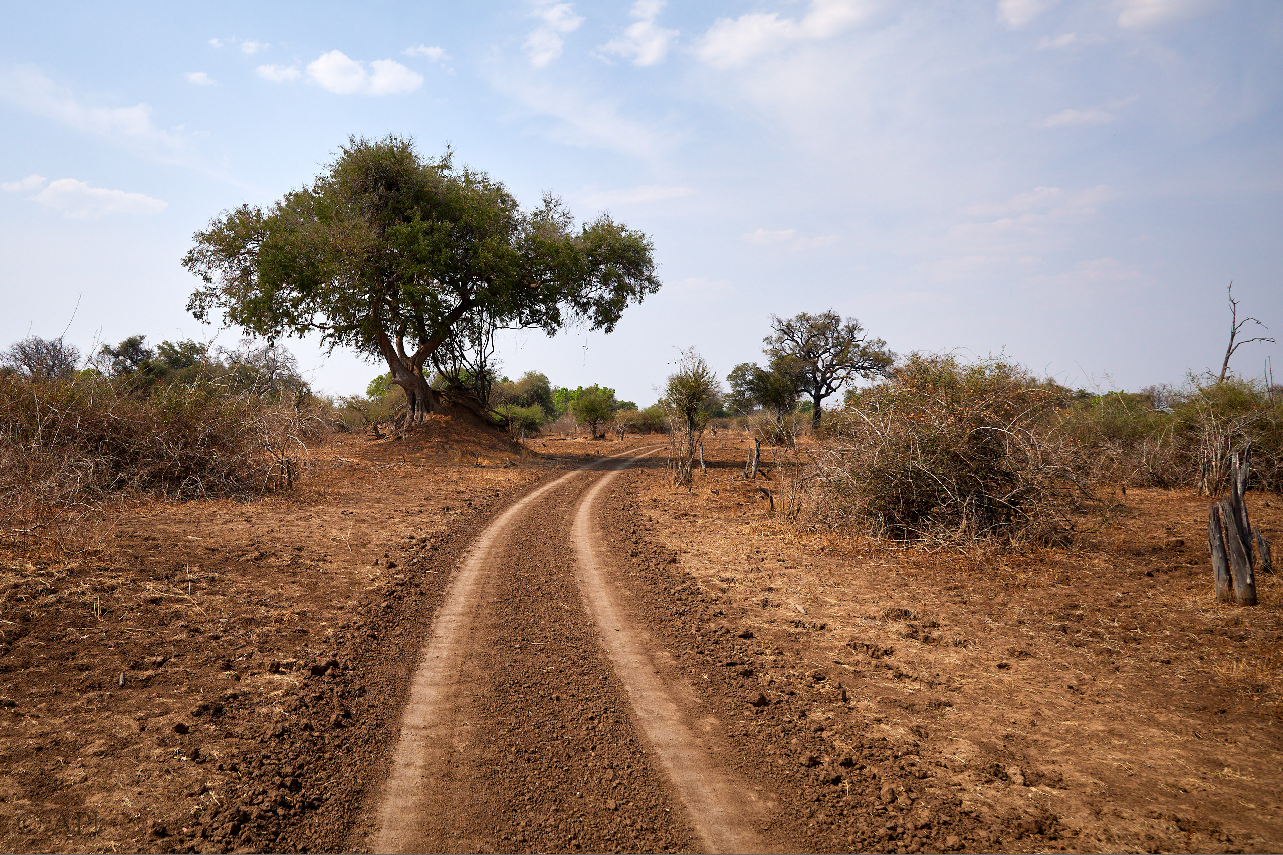 00281 APJ Sambia Malawi 2018 02316