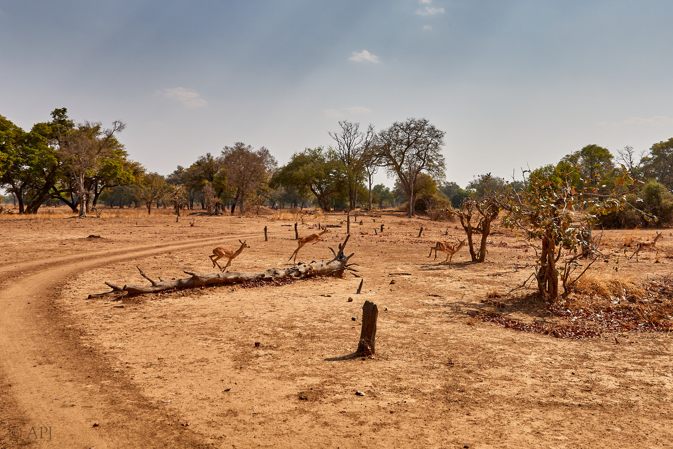 00282 APJ Sambia Malawi 2018 02321