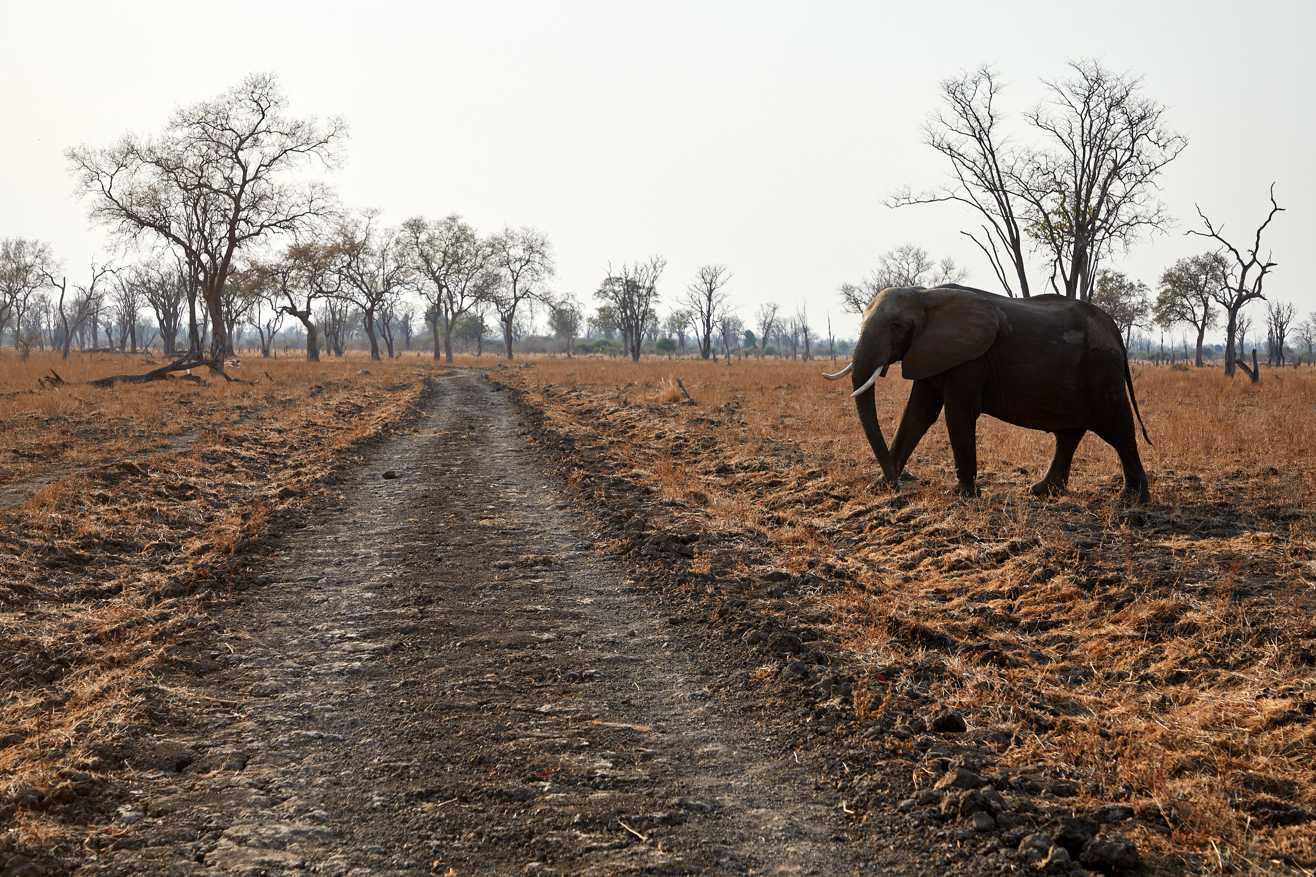 00290 APJ Sambia Malawi 2018 02371