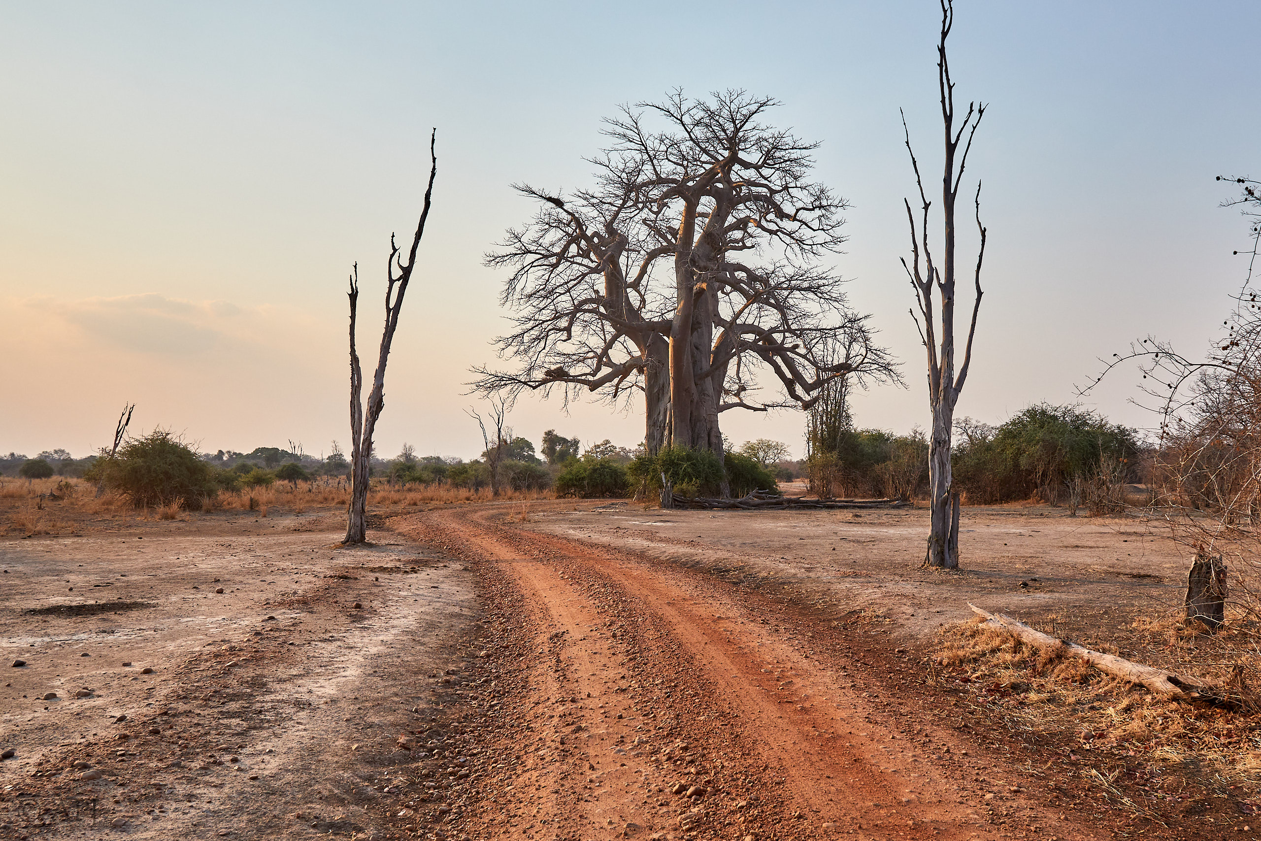 00292 APJ Sambia Malawi 2018 02378