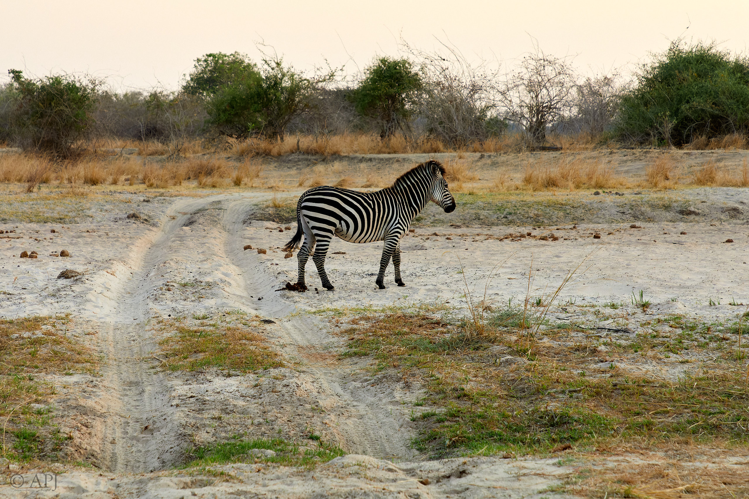 00297 APJ Sambia Malawi 2018 02408 D