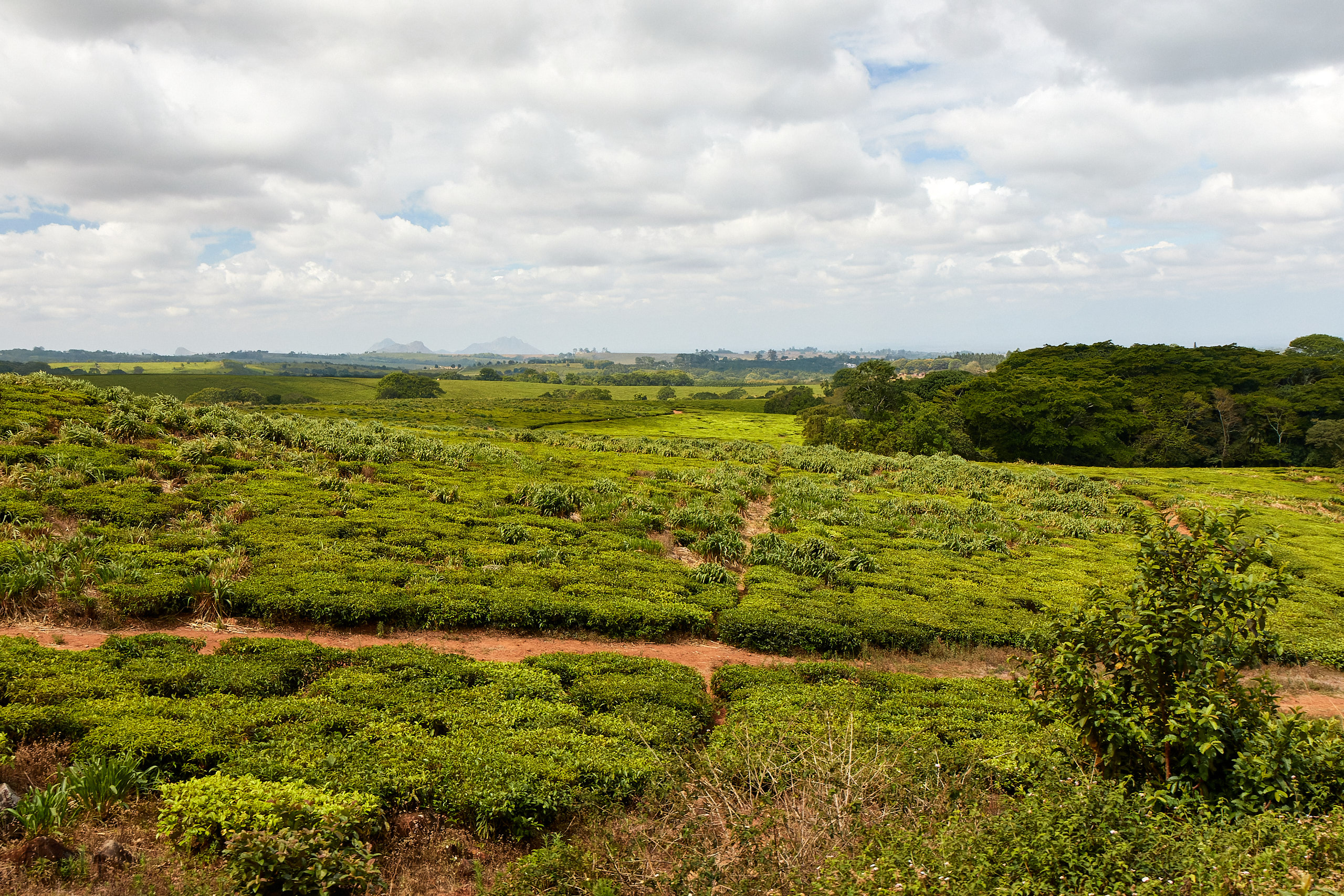 00343 APJ Sambia Malawi 2018 02811 D