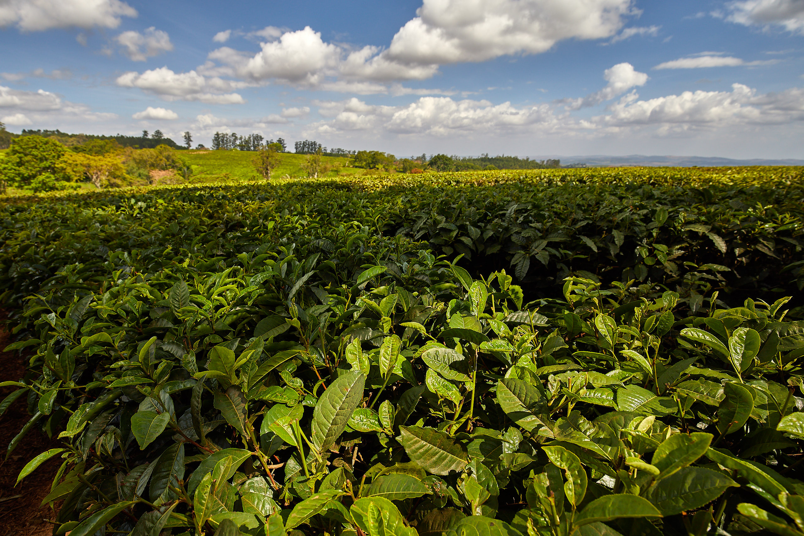 00349 APJ Sambia Malawi 2018 02846